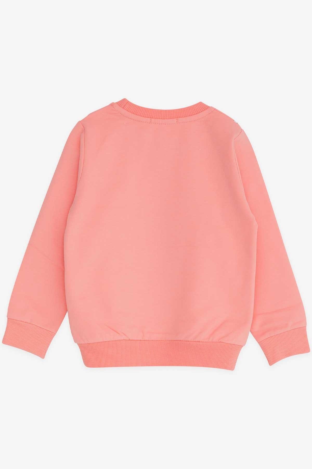 Breeze Kız Çocuk Sweatshirt Unicorn 2-6 Yaş, Somon fotoğrafı 5 (önizleme)