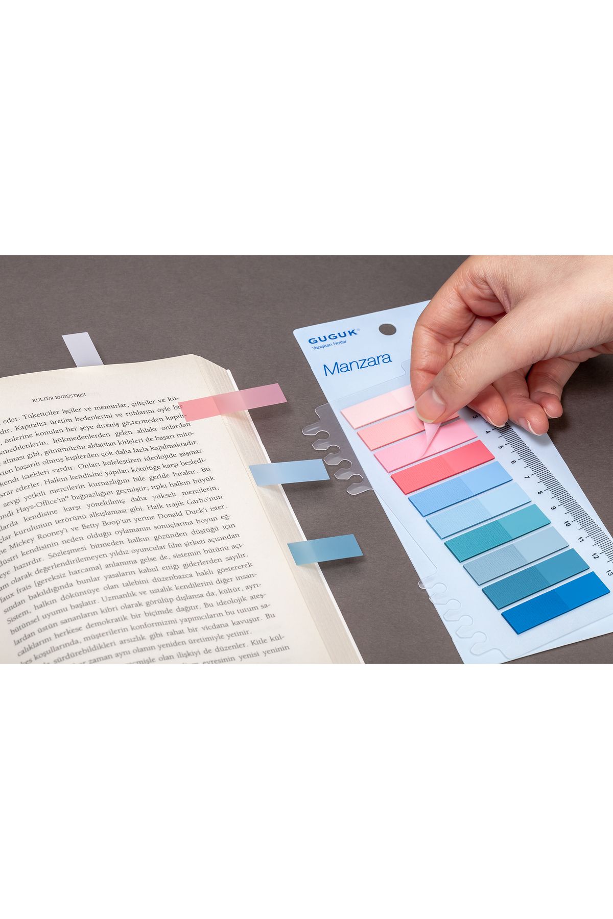 GUGUK-Transparent Pet Index with Landscape 10 Colored Rulers • Index Sticker • Post-It • Sticky Note (Ggk-P023) 3