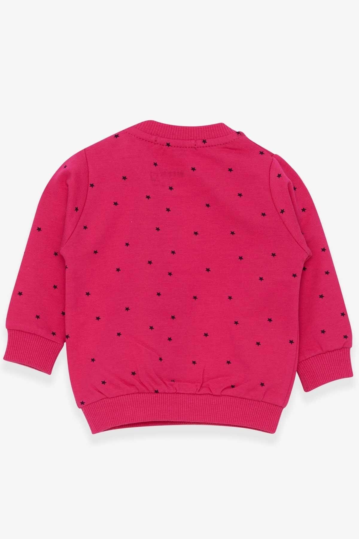 Breeze-4-1.5 Years Baby Girl Fuchsia Sweatshirt - Happy Kittens 2