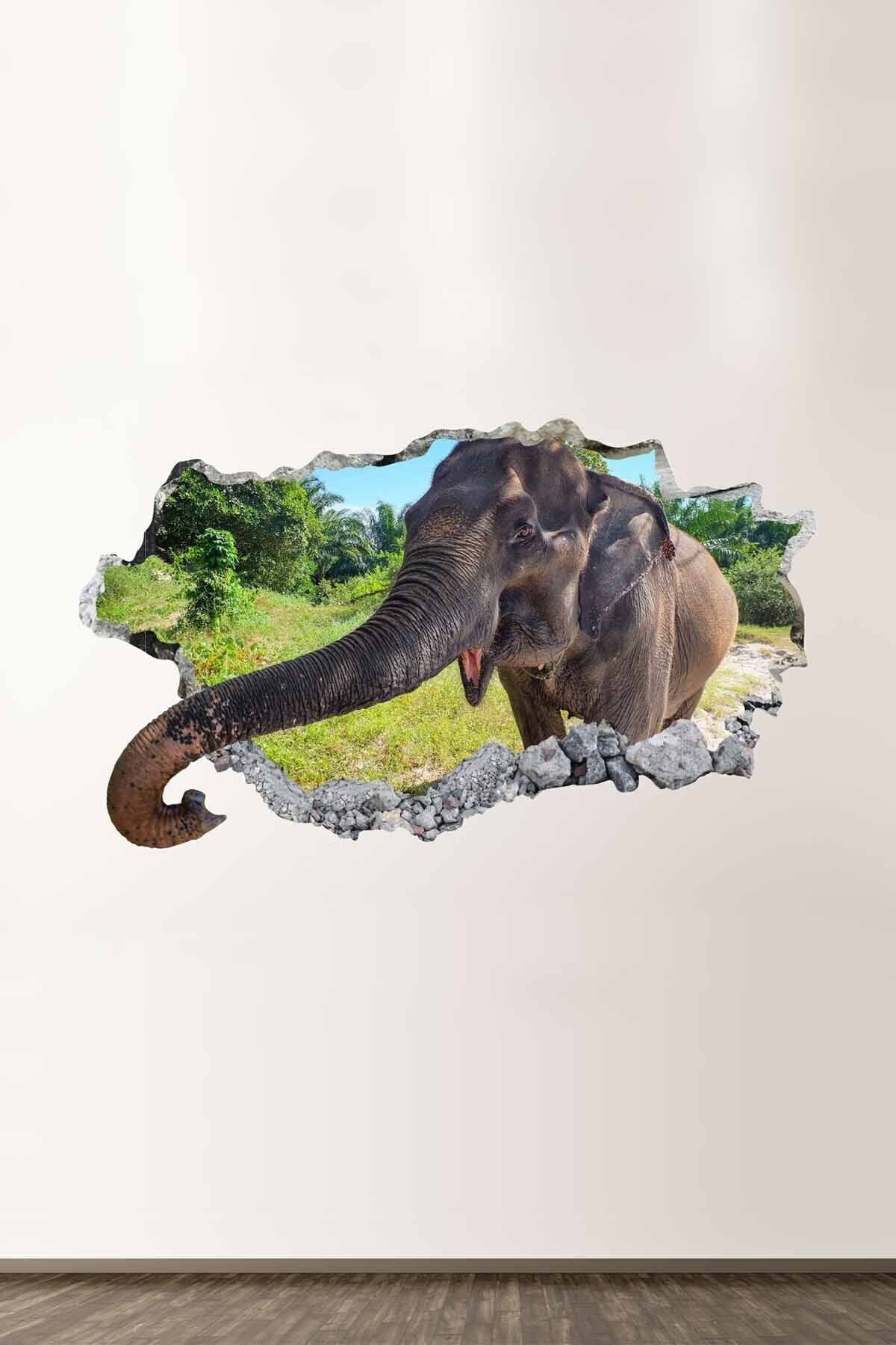 Yavru Fil Full Hd Modern Duvar Sticker
