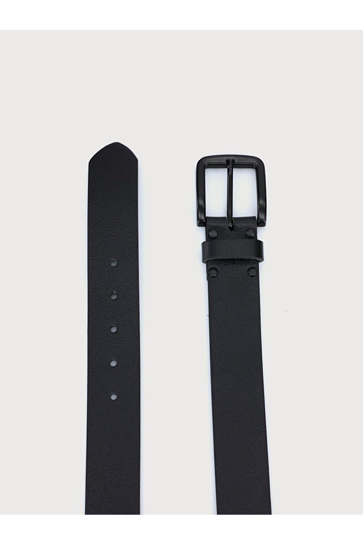 Ltb-Black Belt 2