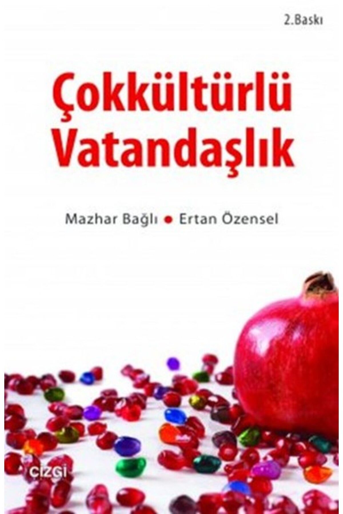Destek Yayınları Çokkültürlü Vatandaşlık