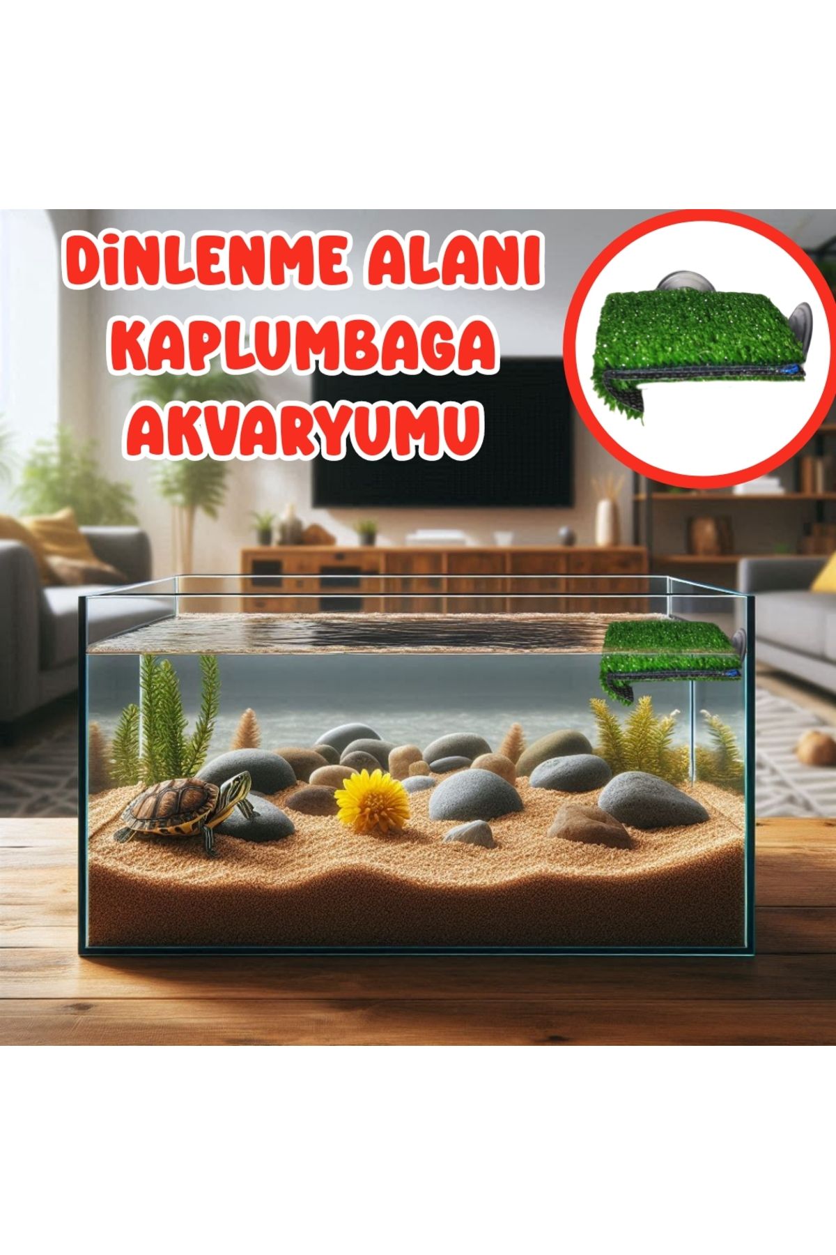 Akvaryum Dinlenme Alanlı Büyük Kaplumbaga Akvaryumu ° Karışık Renkte Gönderilir.