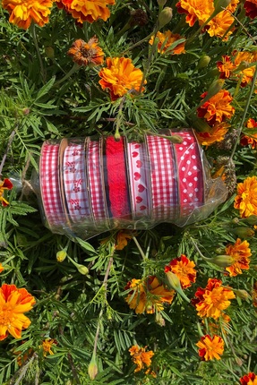 FANTASTIC KURDELE Kırmızı Renkli Kombin Kurdele Seti, Ekose, Dantel, Puantiye...