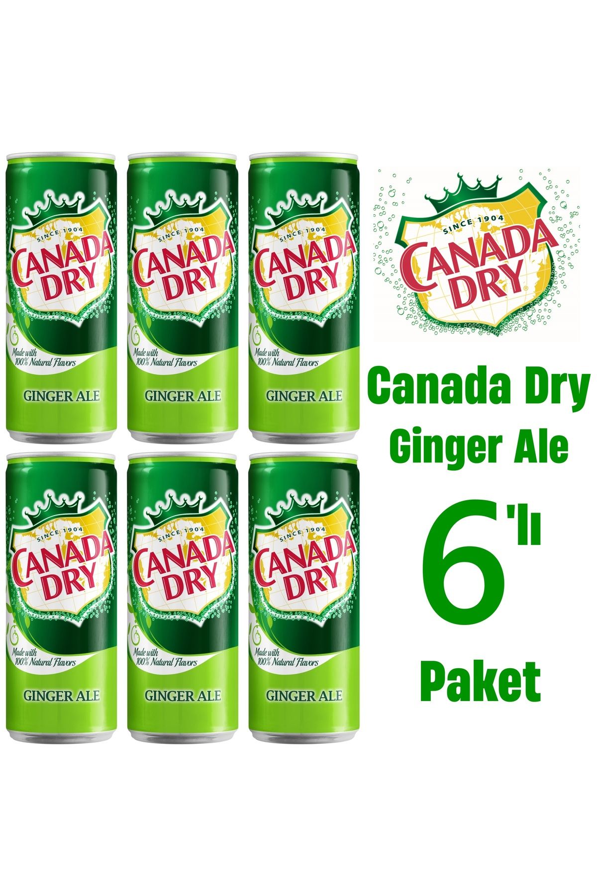 Canada Dry Ginger Ale 6'lı Paket