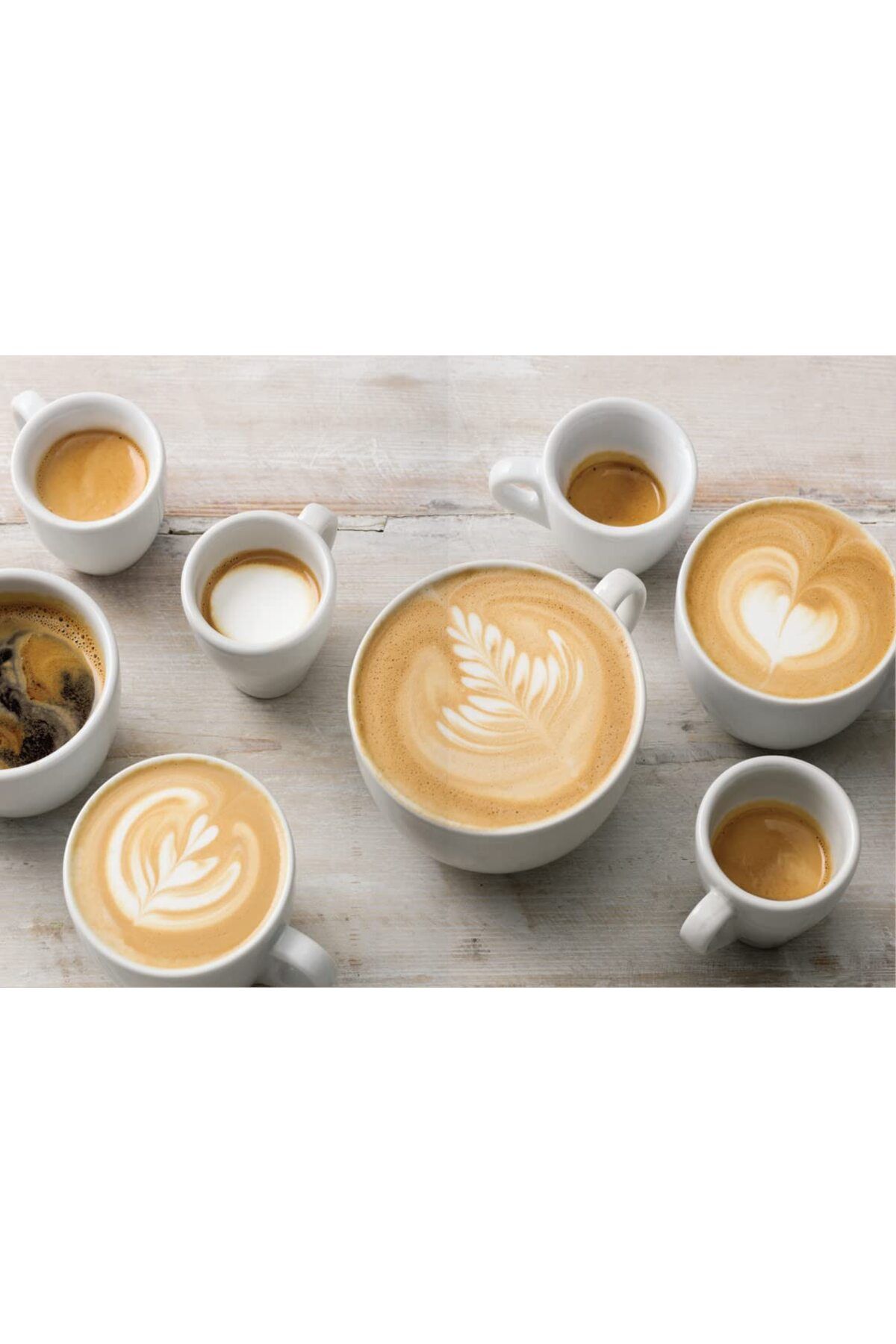 Octopus-How To Make The Best Coffee At Home 7