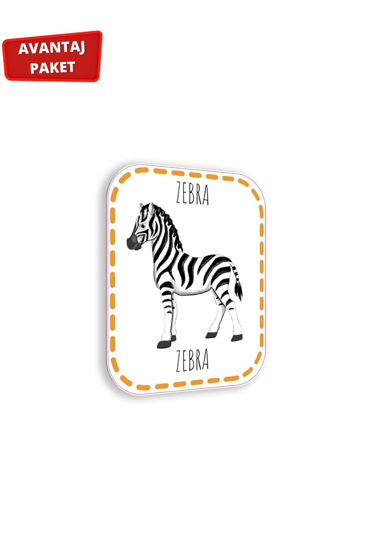 Çocuk Akademi İlk Adım Zeka Kartı 0-12 Ay ve İlk Adım Zeka Kartı Hayvanlar fotoğrafı 2 (önizleme)