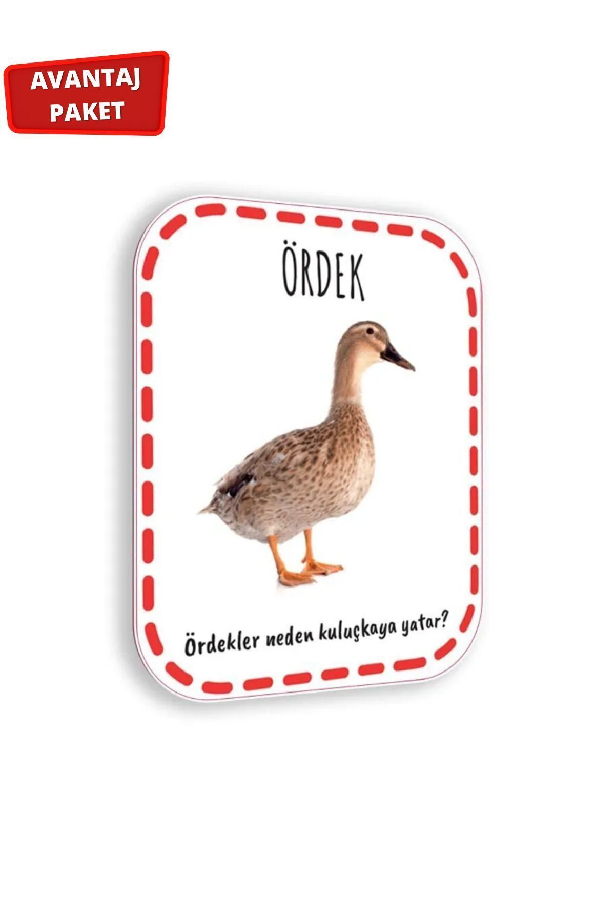 Çocuk Akademi 12-24 Ay Cırt Cırtlı Etkinlik Kitabı Ve Ilk Adım Zeka Kartı Hayvanlar fotoğrafı 7 (önizleme)