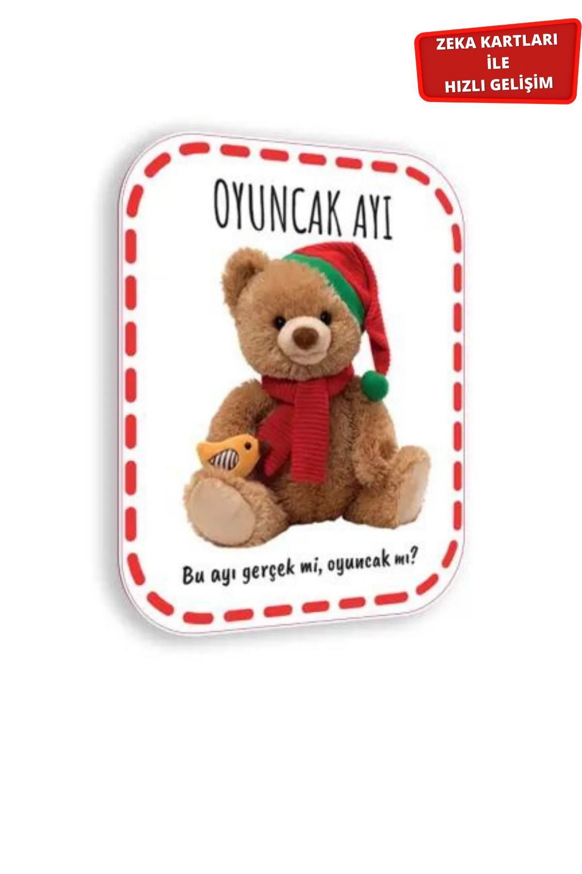 Çocuk Akademi Zeka Kartları Serisi-1 fotoğrafı 3 (önizleme)