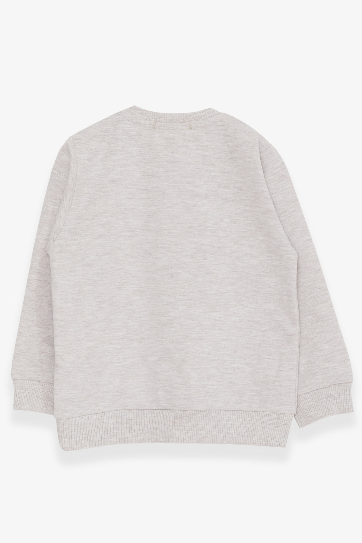 Breeze-Girl's Sweatshirt Cute Girl Printed 1.5-5 Years, Beige Melange 2
