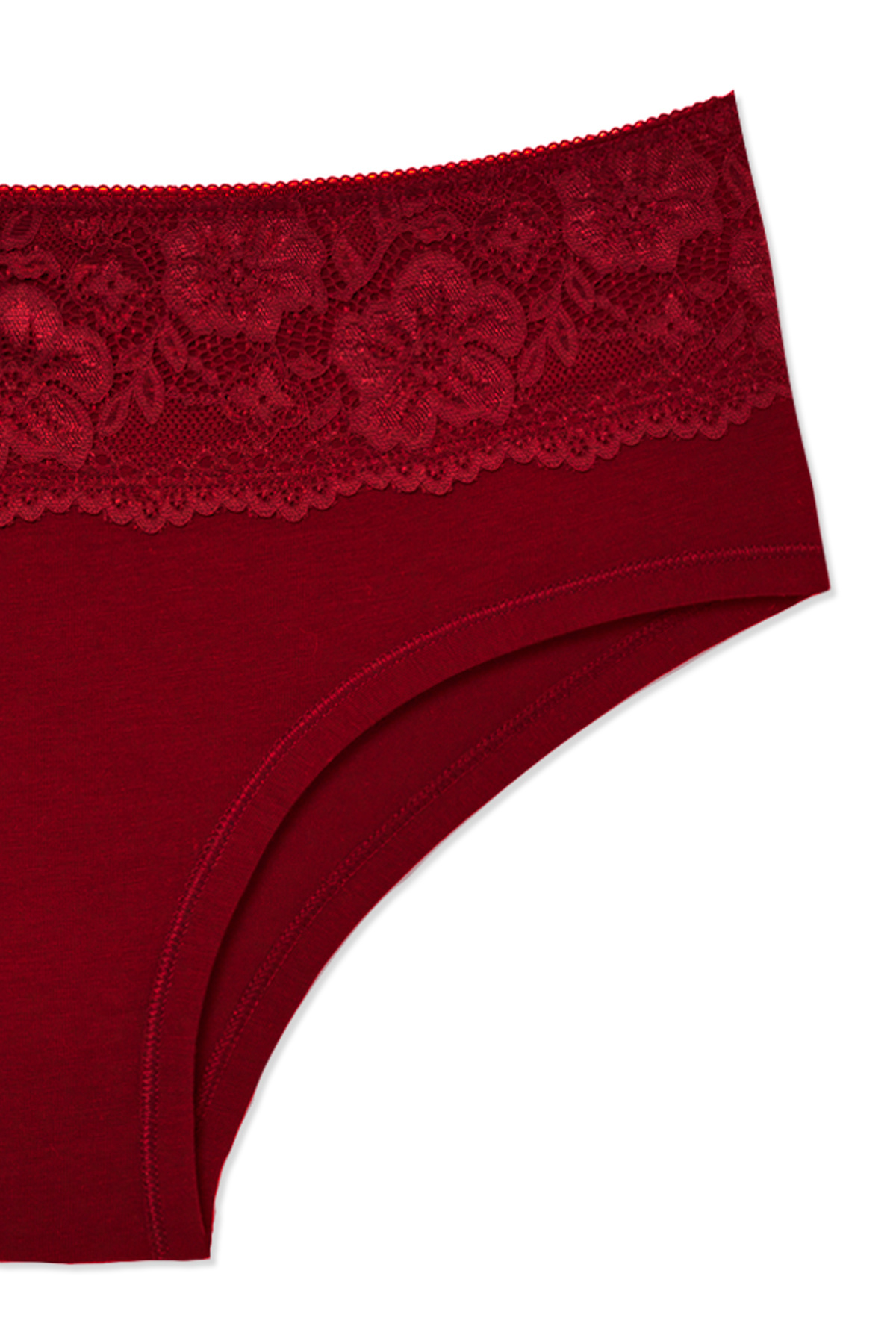 HNX-5-Piece Cotton Front Waist Lace Detailed High Waist Women's Panties 4