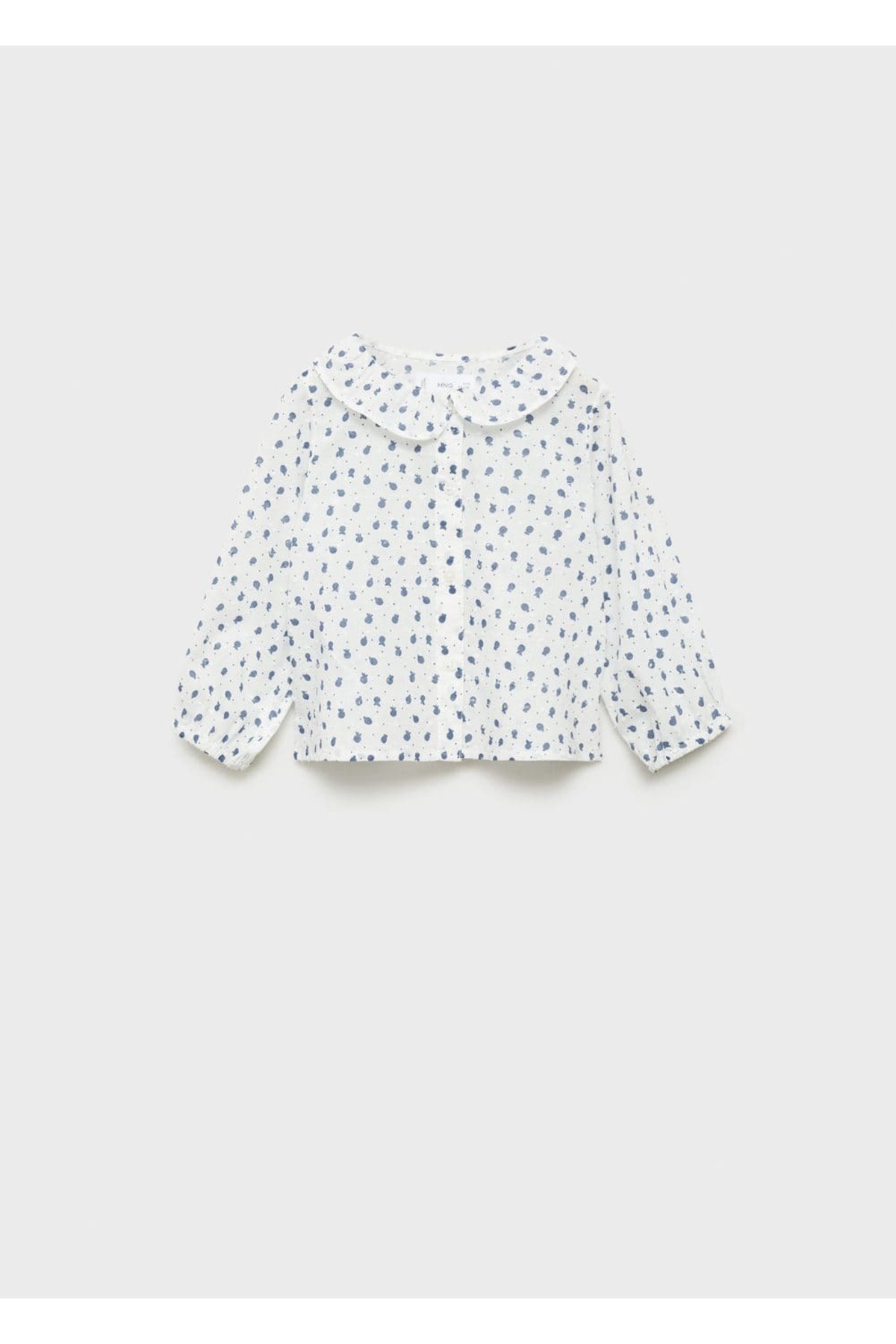 بلوز --  بلوز --