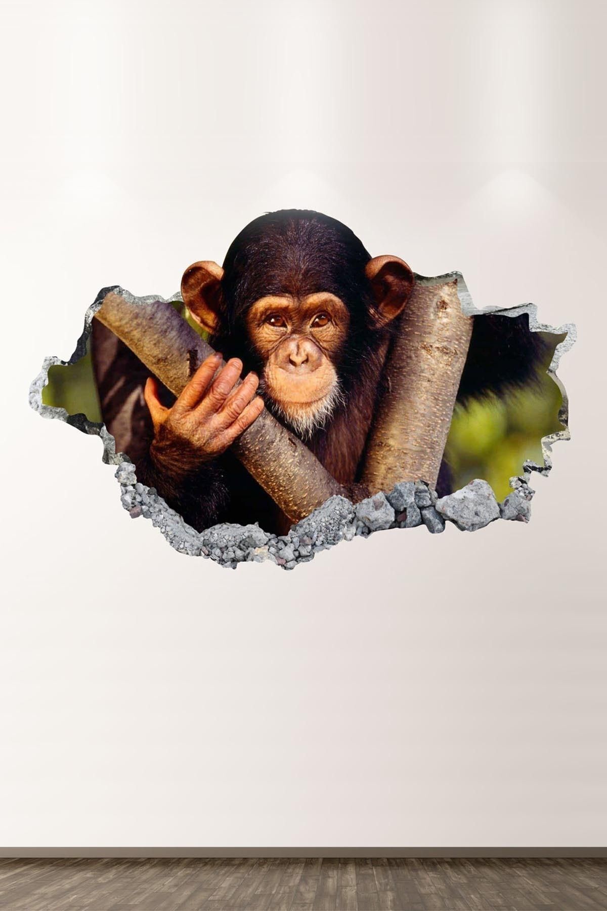 Maymun Full Hd Modern Salon Ve Oturma Odası Duvar Sticker