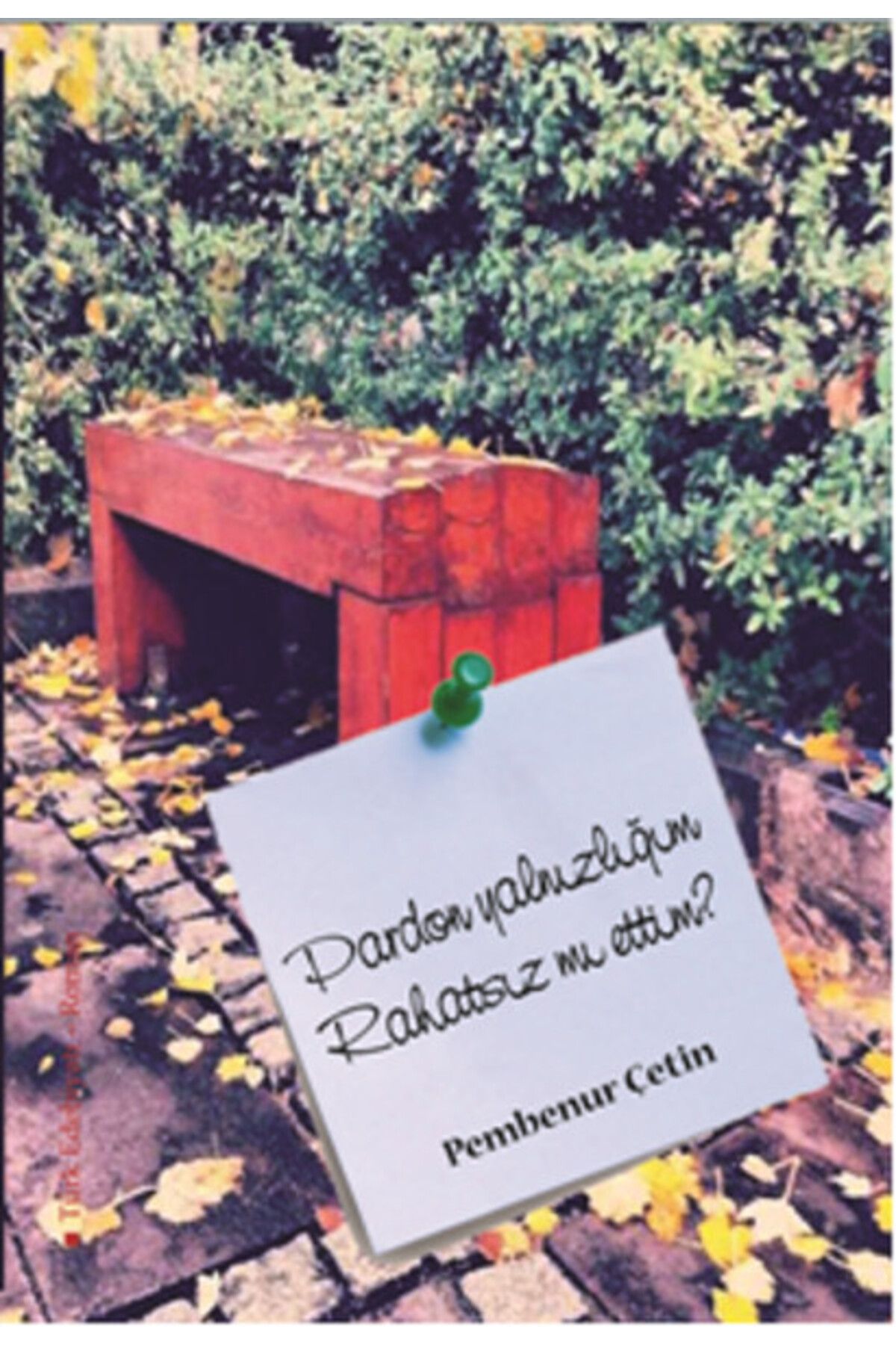 Semerci Yayınları Pardon Yalnızlığım Rahatsız mı Ettim ?