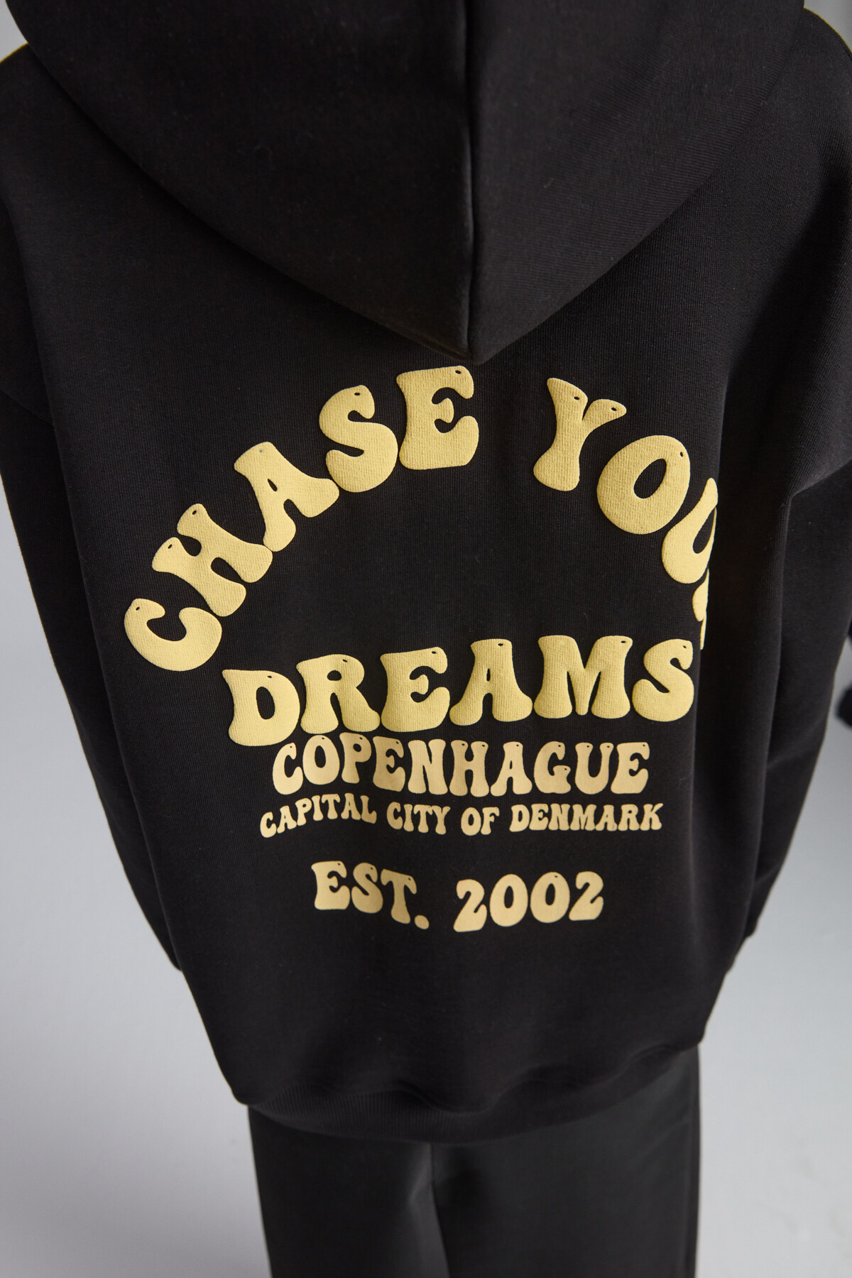 GRIMELANGE  Leılany Kadın 3 Iplik Içi Şardonlu Sırt Baskı Detaylı Regular Kapüşonlu Siyah Sweatshirt - Görsel 2