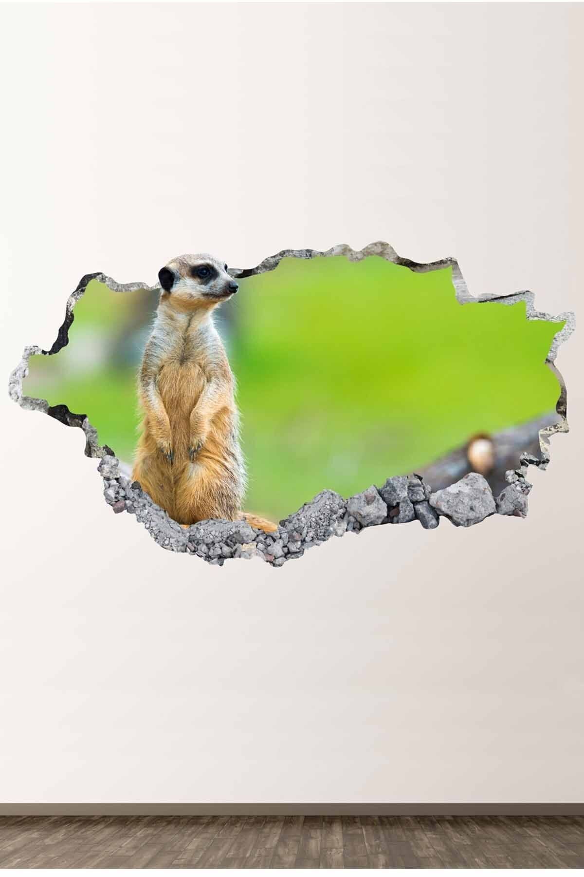 Lemur Full Hd Modern Duvar Sticker