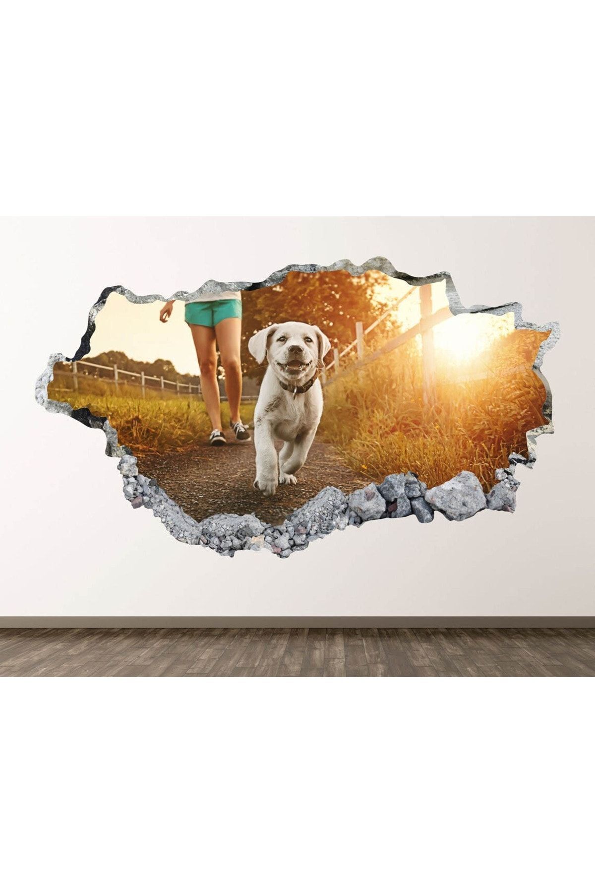 Full Hd Baskı 3D Modern Duvar Sticker
