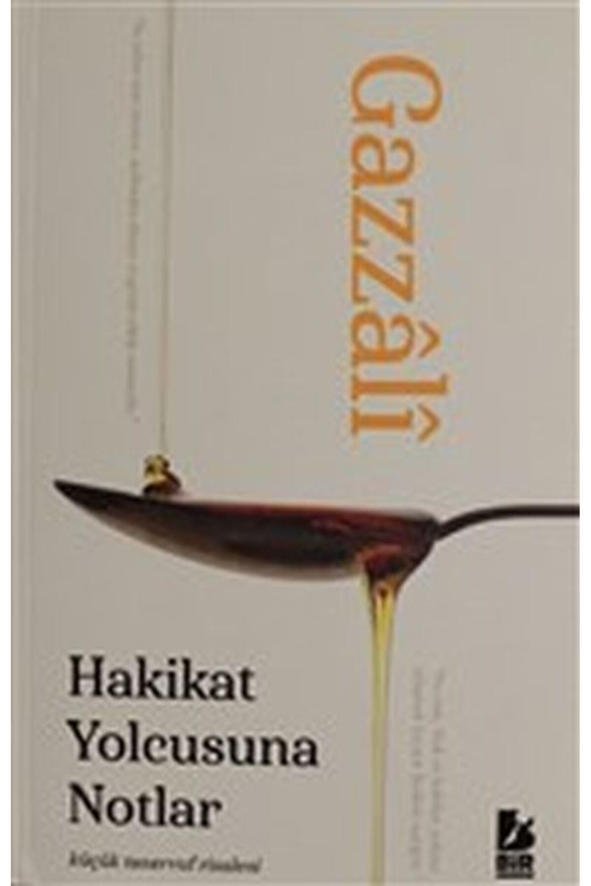Bİr yayıncılık Hakikat Yolcusuna Notlar