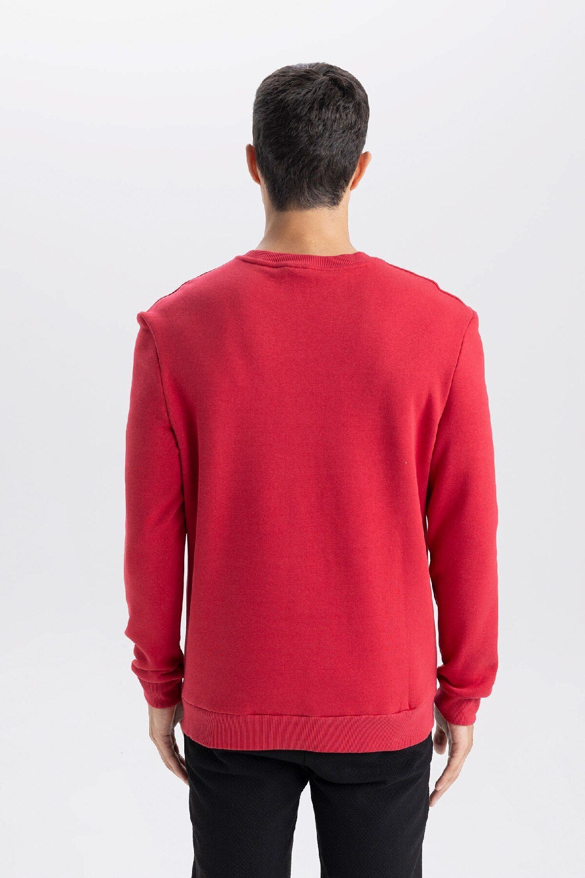 DeFacto-Red Regular Fit Crew Neck Thick Basic Plain Sweatshirt T3777Az24Au 6