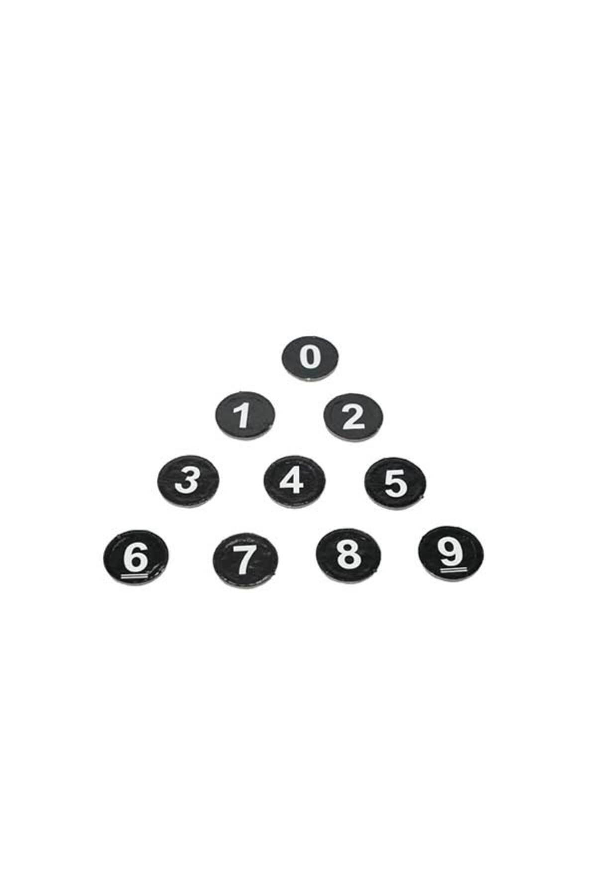 Zetzeka-Stol Wooden Multiple Water Texture Game 6+ Ages 8 Players 8