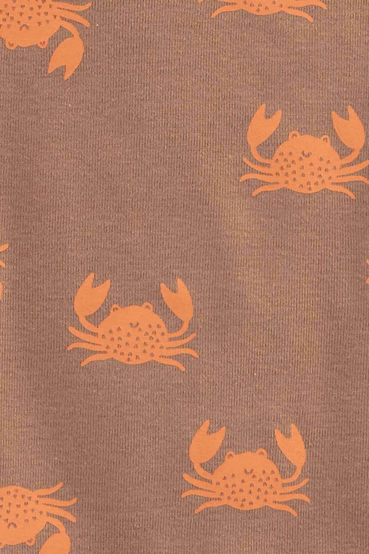 Carter's Erkek Bebek Kolsuz Body 5'li Paket fotoğrafı 5 (önizleme)