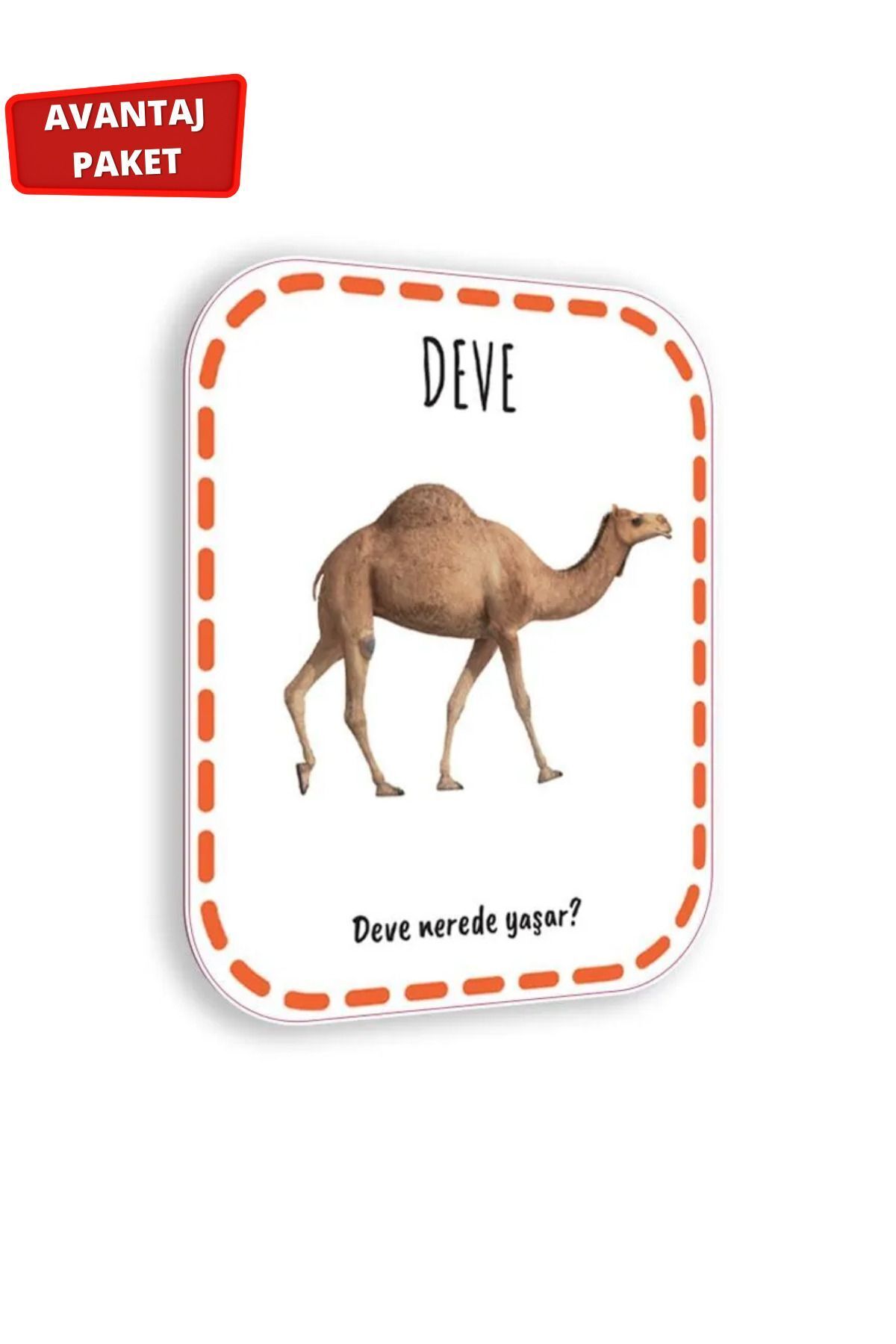 Çocuk Akademi İlk Adım Zeka Kartı 0-12 Ay ve İlk Adım Zeka Kartı Hayvanlar fotoğrafı 5 (önizleme)