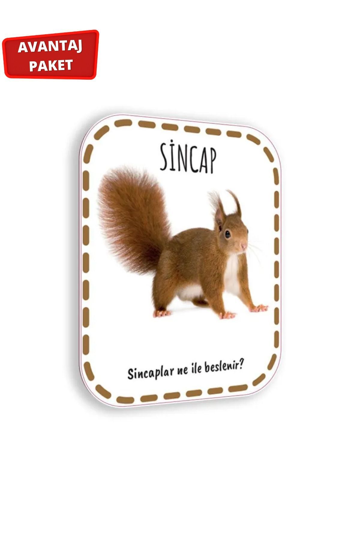 Çocuk Akademi İlk Adım Zeka Kartı 0-12 Ay ve İlk Adım Zeka Kartı Hayvanlar fotoğrafı 6 (önizleme)