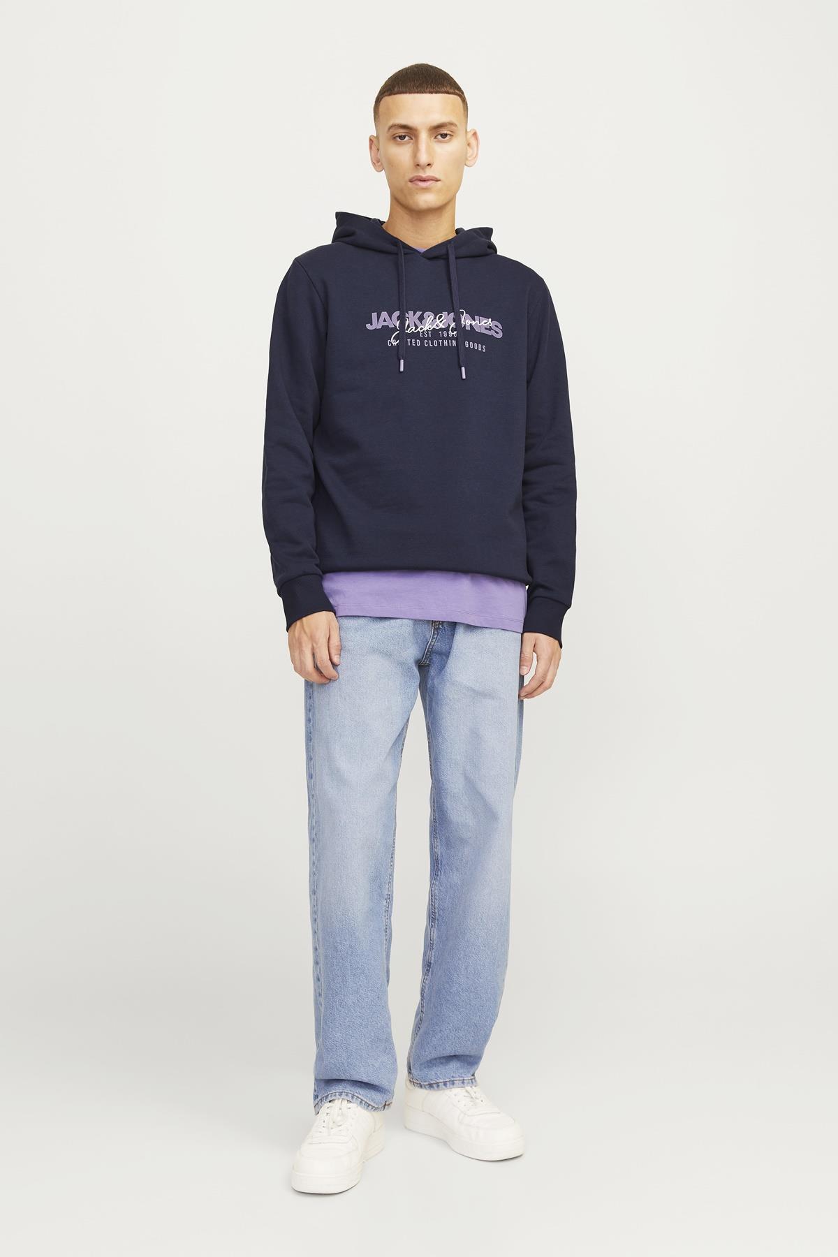 سویشرت مردانه طرح دار آستین بلند | جک اند جونز Jack & Jones TYC8D6371C38003910 - تصویر 4