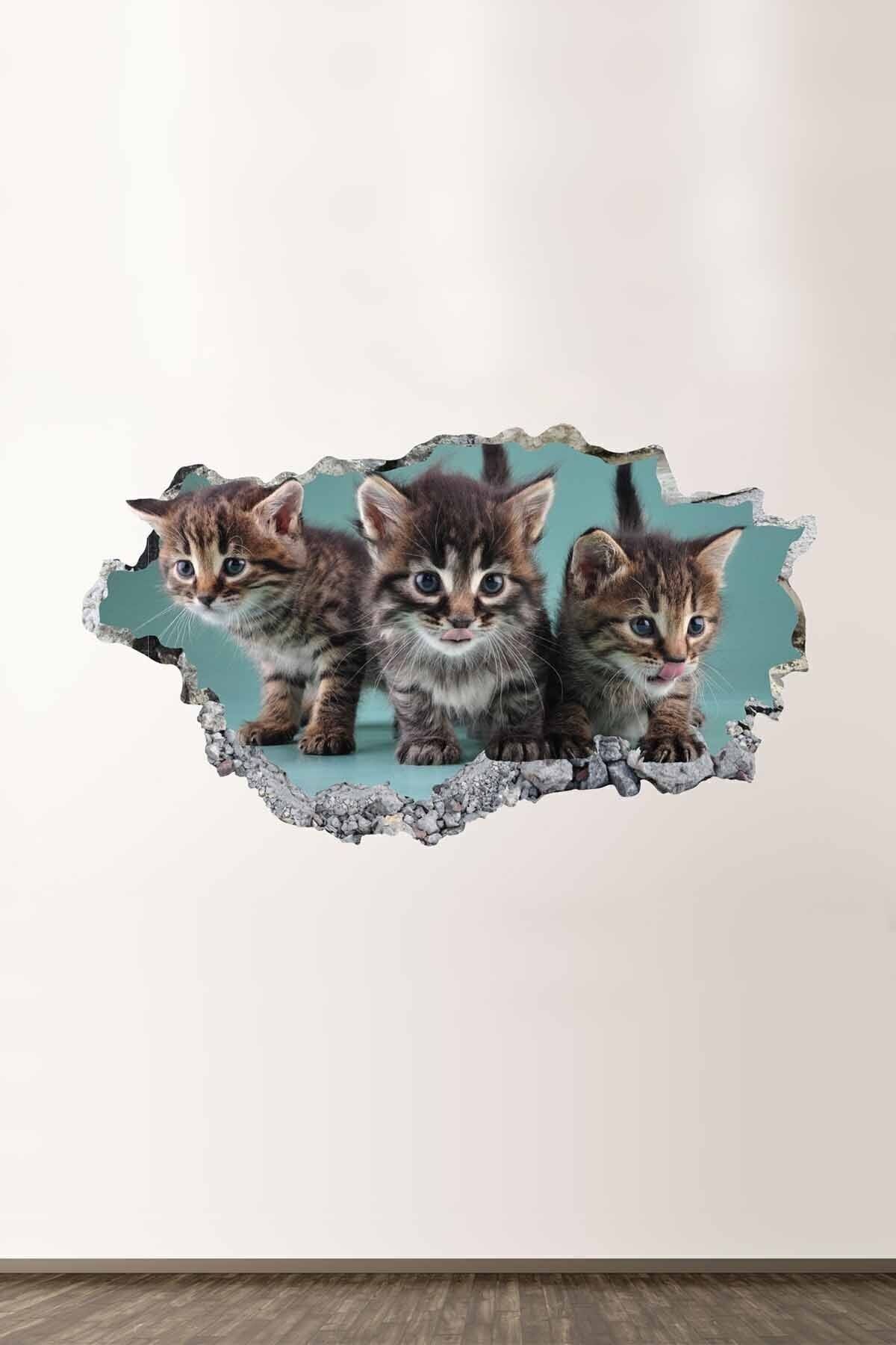 Sevimli Yavru Kediler Full Hd Baskı Salon Ve Oturum Odası Modern Duvar Sticker
