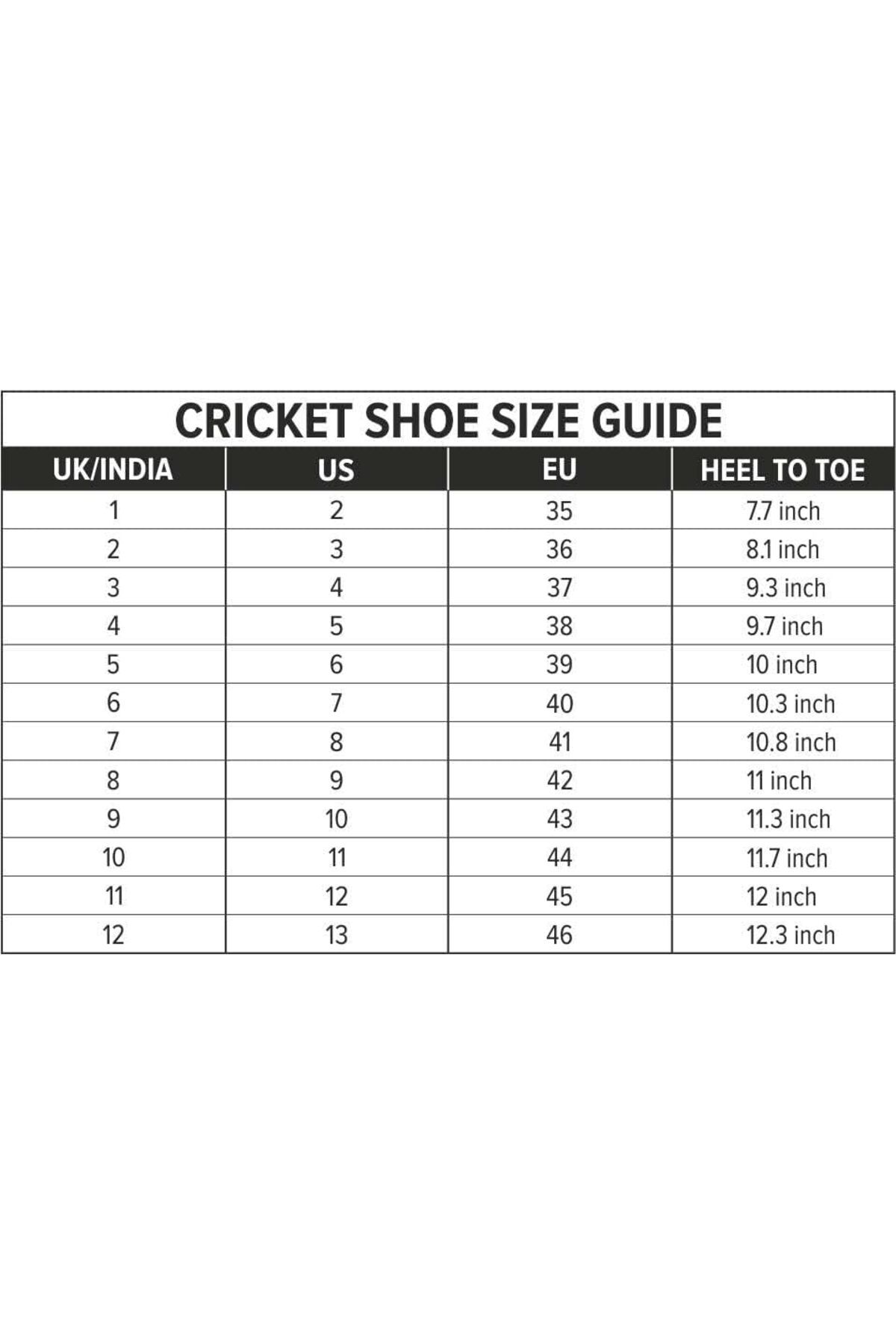 DSC-Zooter Cricket Shoes for Men & Boys (White/Blue, 41 EU) 5