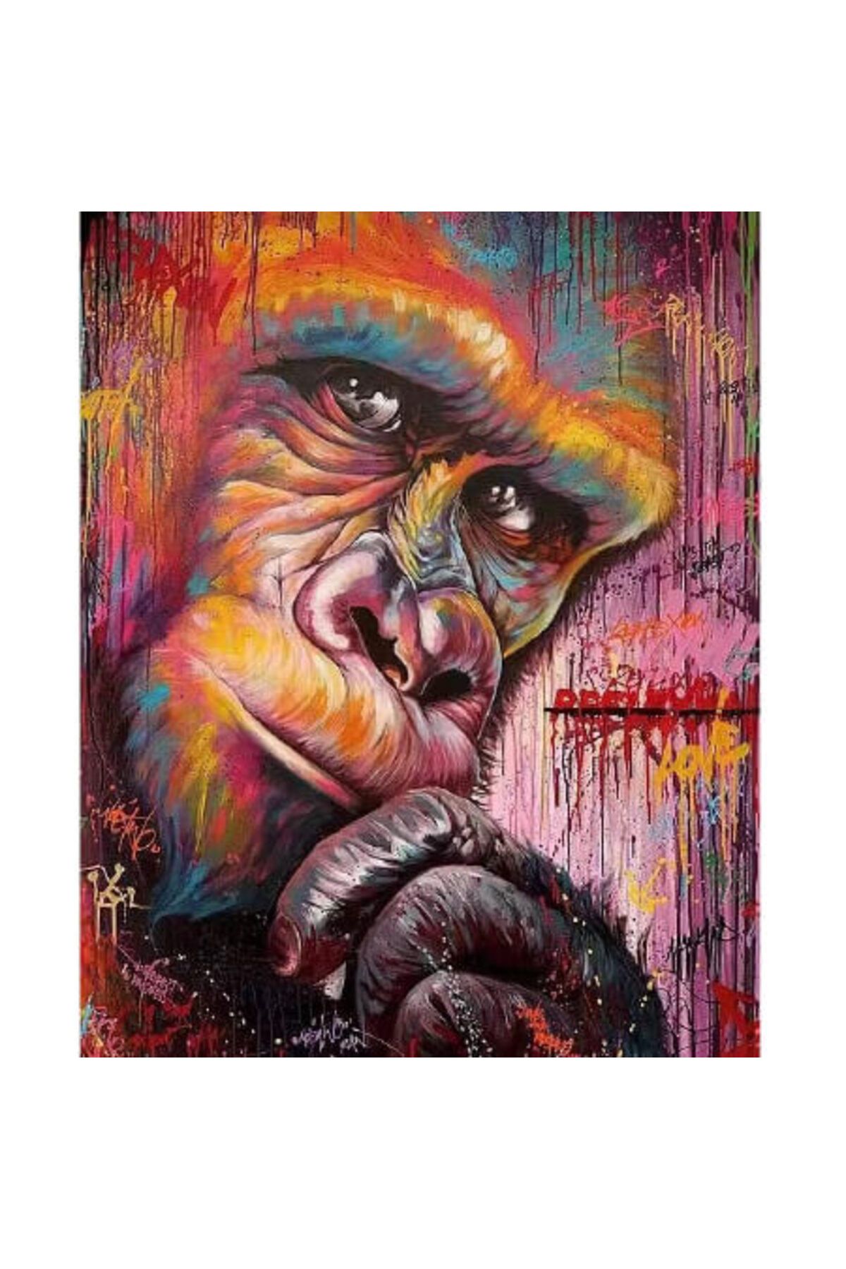 P Parla Canvas Düşünen Goril Sayılarla Boyama Seti Kasnaklı 90 x 110 cm