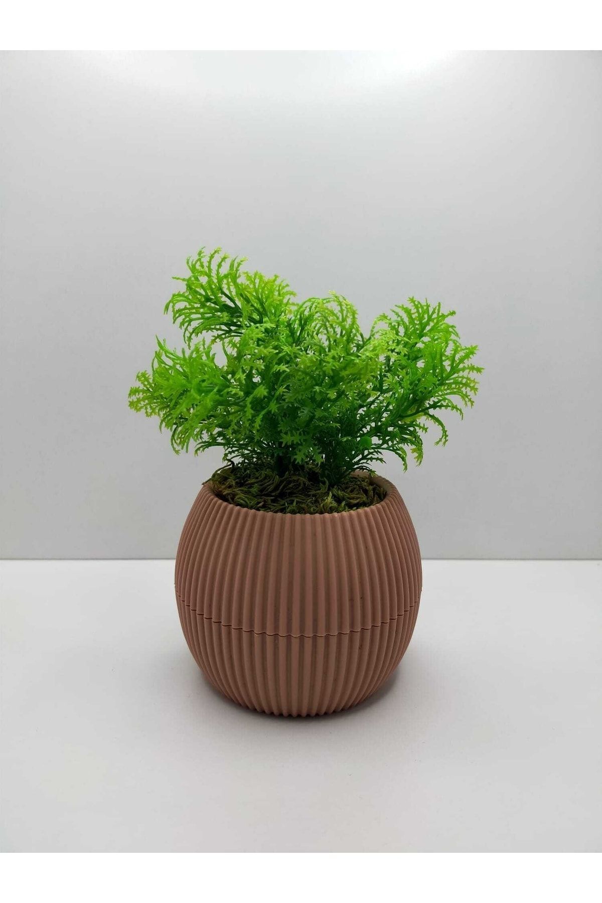 Elioure Yeşil yapay çim, taş ve yosun detaylı 17 cm mini saksı dekoratif bitki