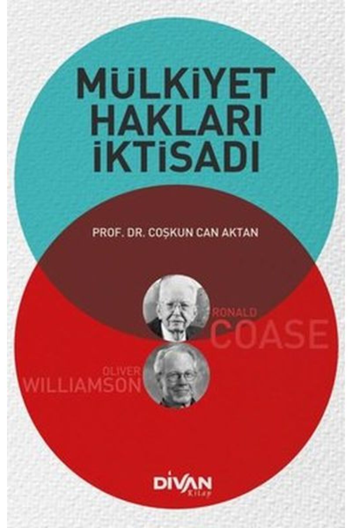 Divan Kitap Mülkiyet Hakları İktisadı