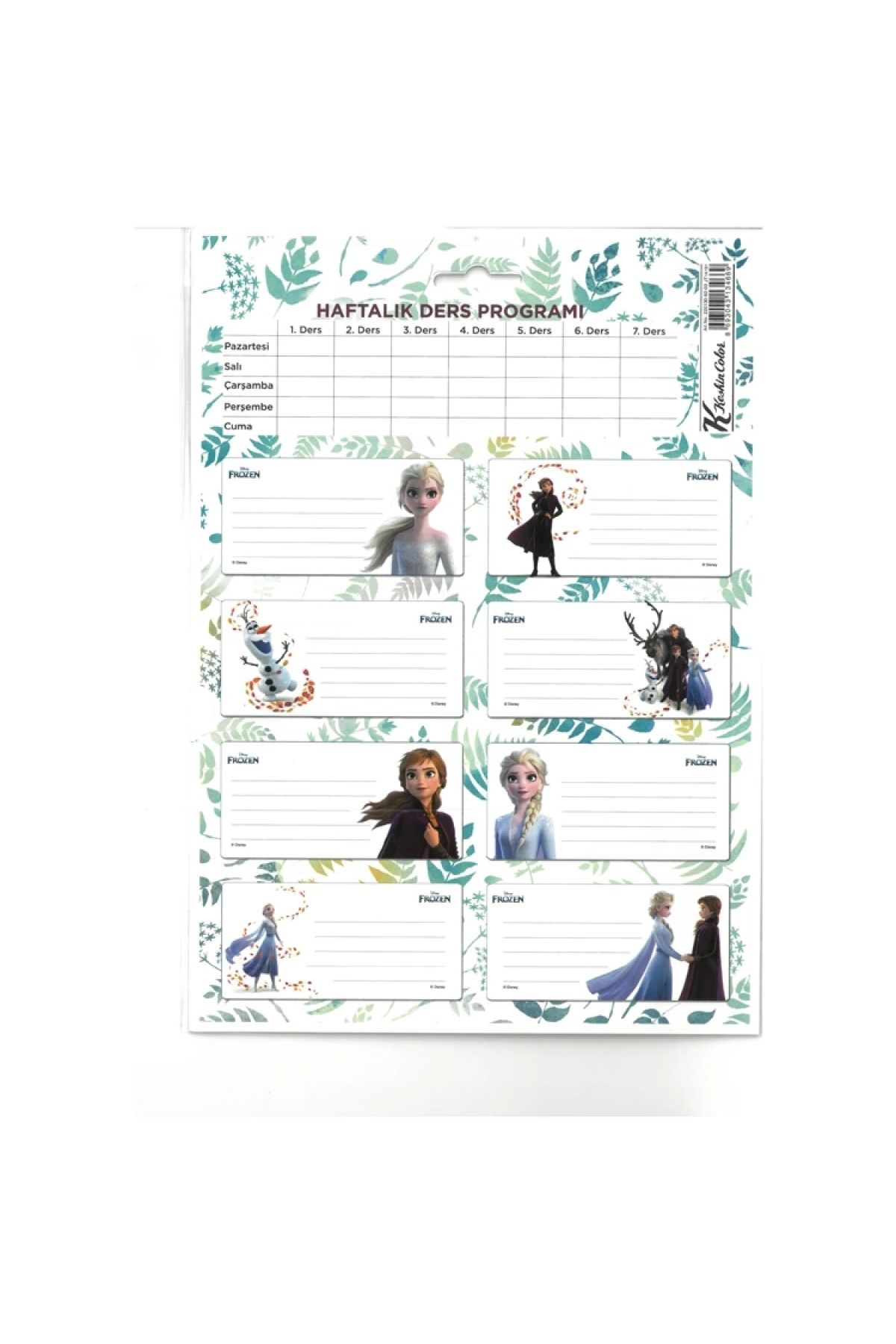 Frozen-Sharp220130 Class II Programmed - 3-Piece School Label Set 3