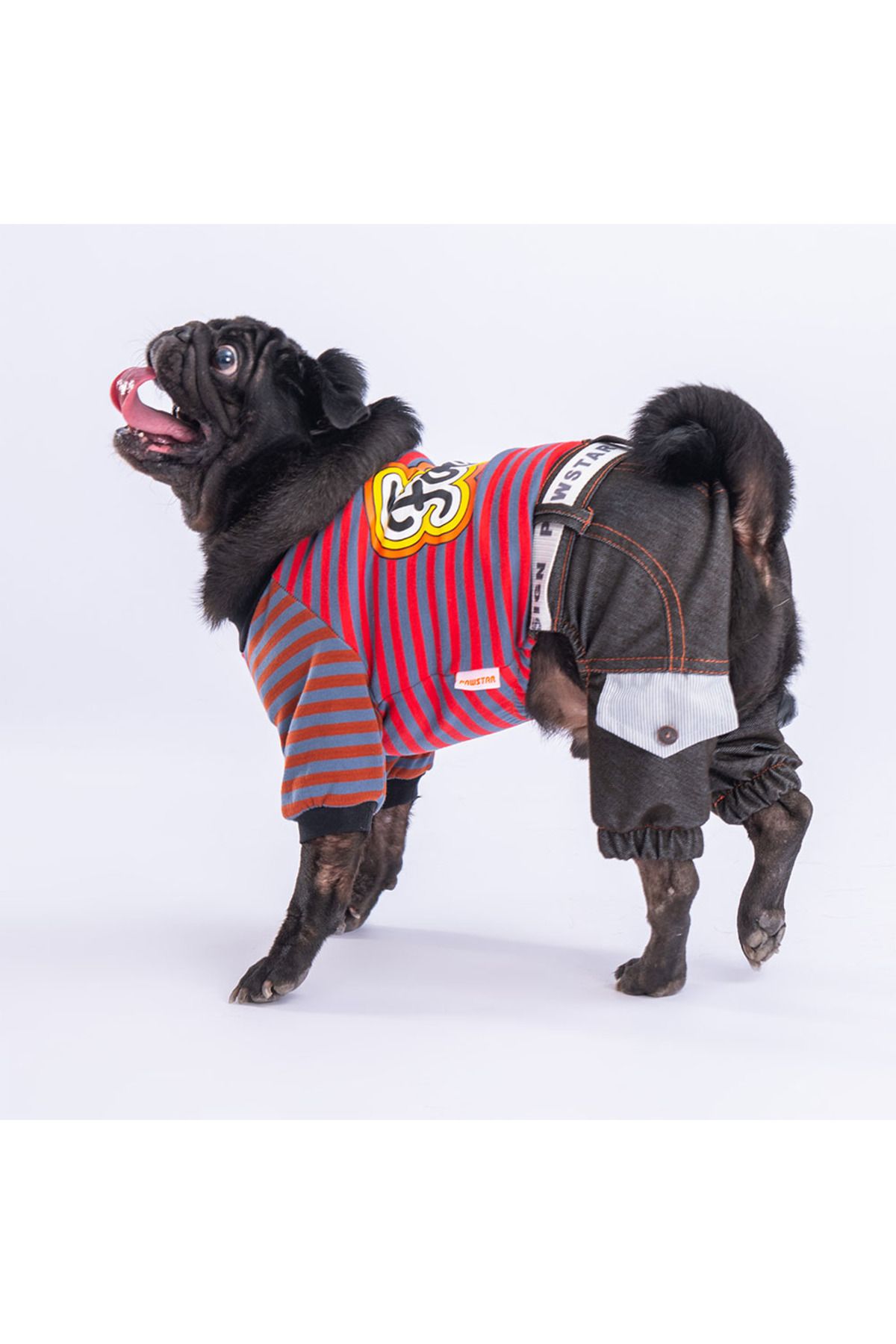 Pawstar-Indigo Foodie Dog Jumpsuit Dog Outfit Cat Outfit 3