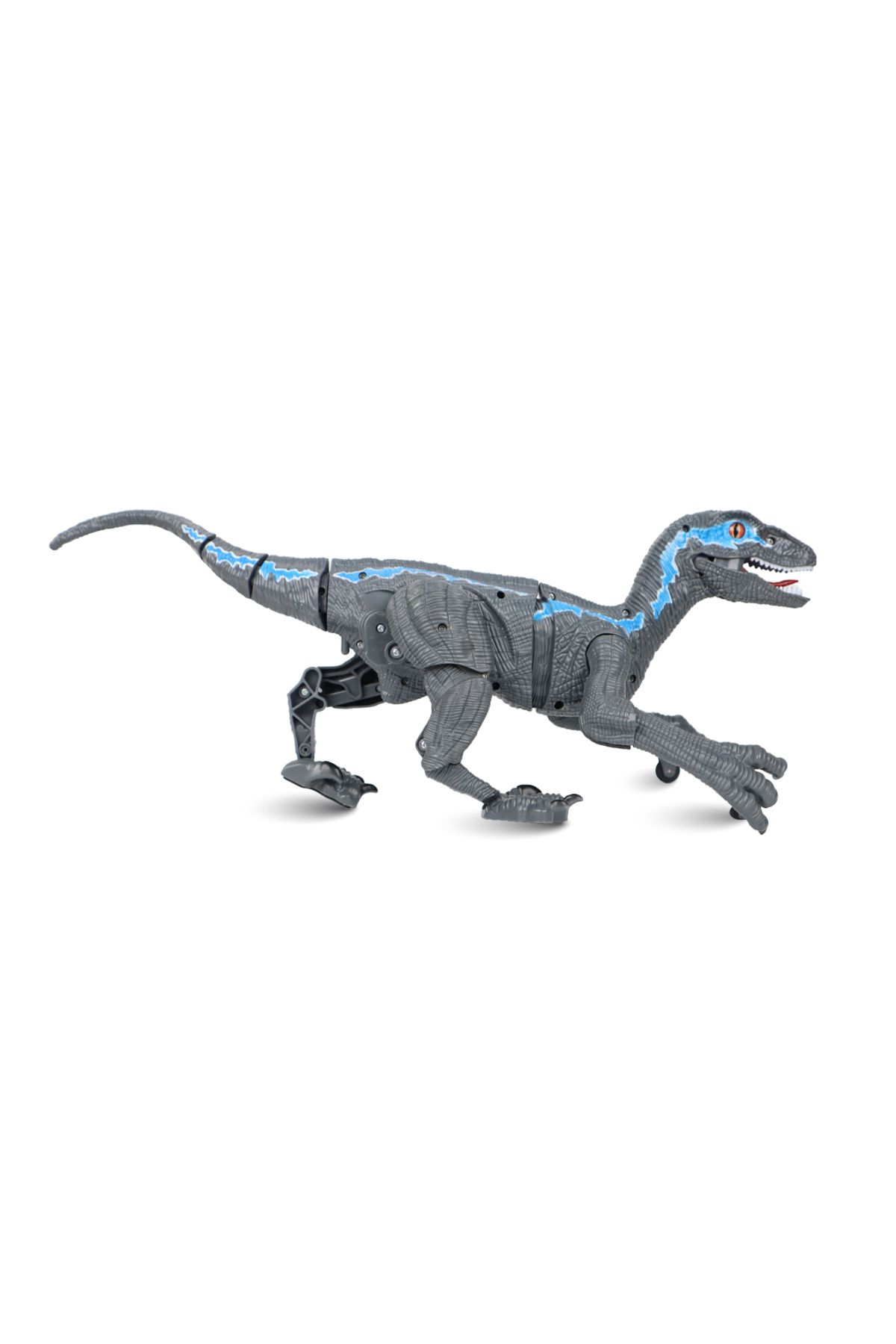Sesli ve Yürüyen Hareketli Velociraptor Dinozor Gri - 4
