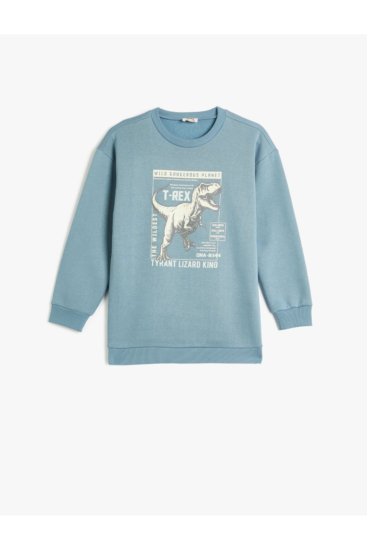 Koton-Long Sleeve Dinosaur Sweatshirt - Crew Neck Raised 1