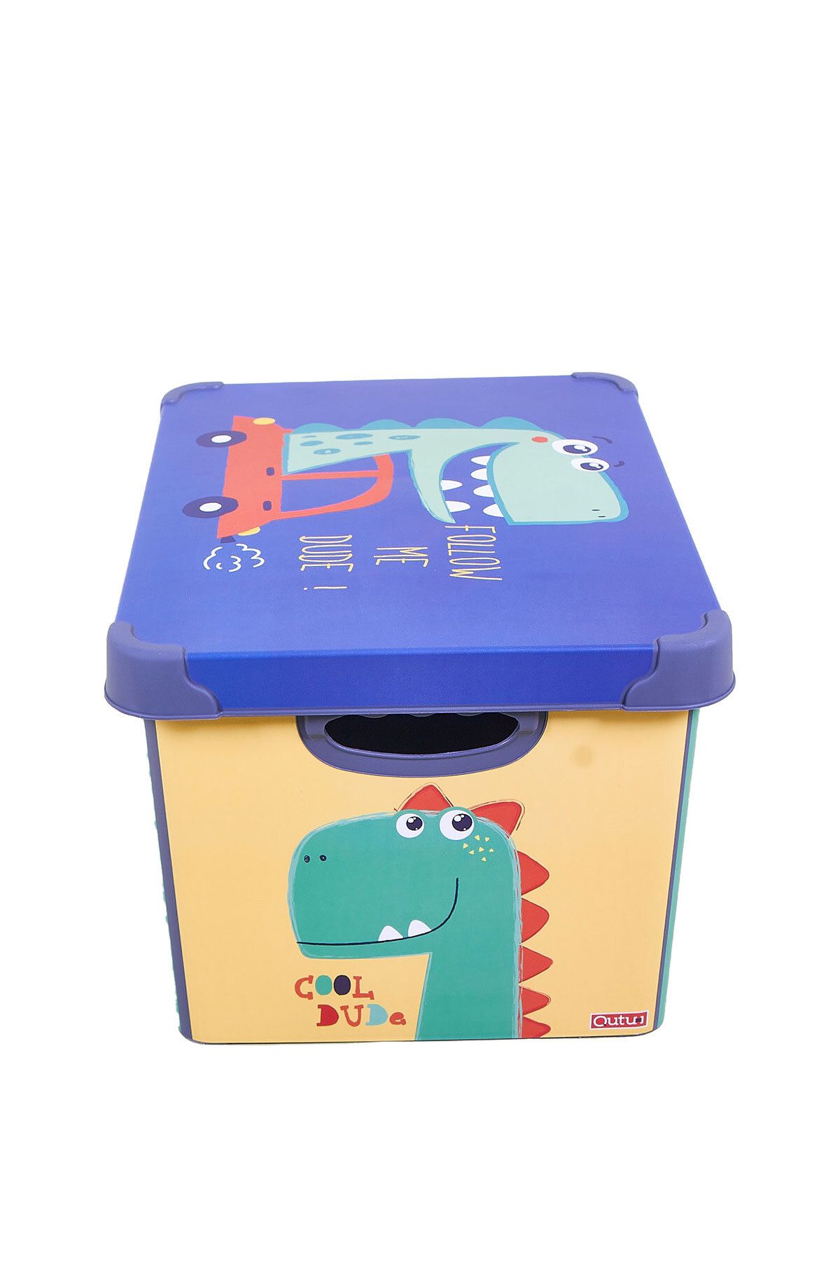 QUTU-Style Box Dude Patterned 17 L Decorative Storage Box 3