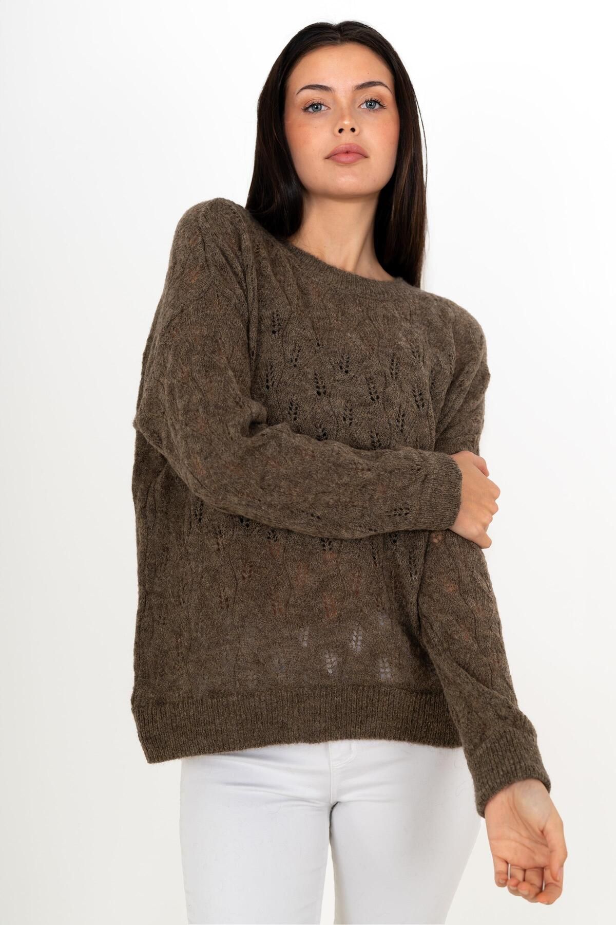 CHUBA-Women's Wide Fit Wool And Moher Blended Soft Textured Openwork Sweater Brown 24w142 4