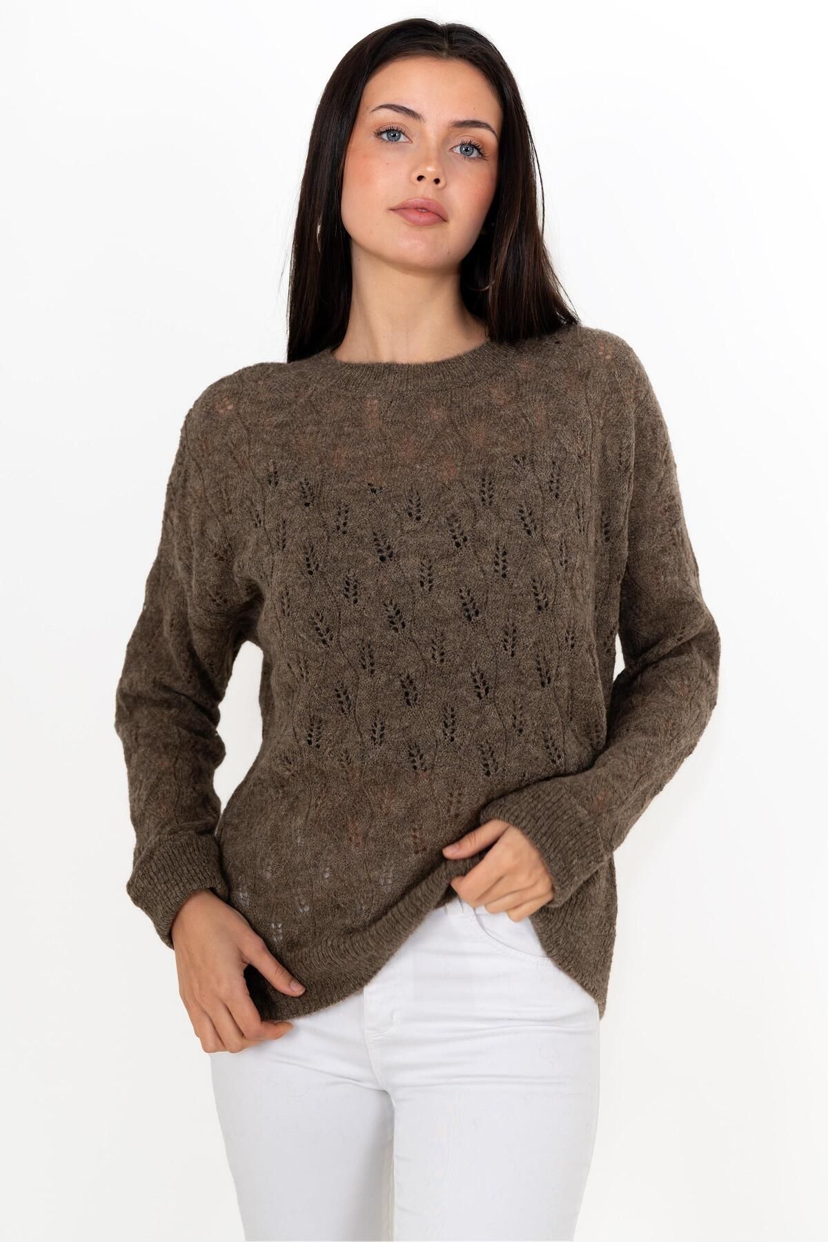 CHUBA-Women's Wide Fit Wool And Moher Blended Soft Textured Openwork Sweater Brown 24w142 1