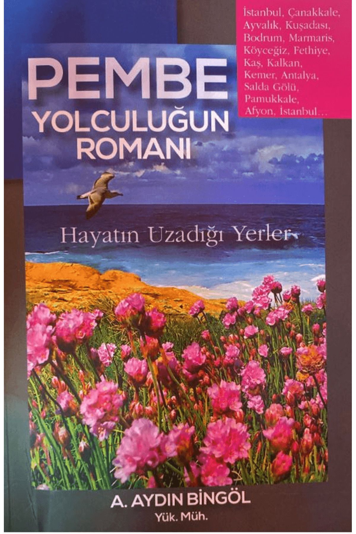 Dahi Yayıncılık Pembe Yolculuğun Romanı / A. Aydın Bingöl / Dahi Yayıncılık / 9786250018316