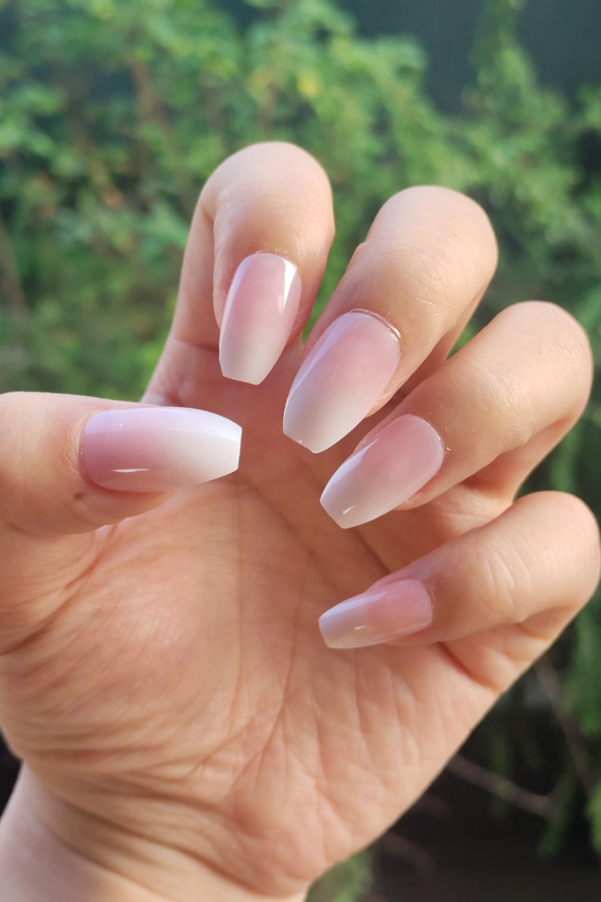 ست 24 تکه ناخن مصنوعی ظاهری بالرین ناخن تقلبی با نوار چسب هدیه DY873 Easy Beauty