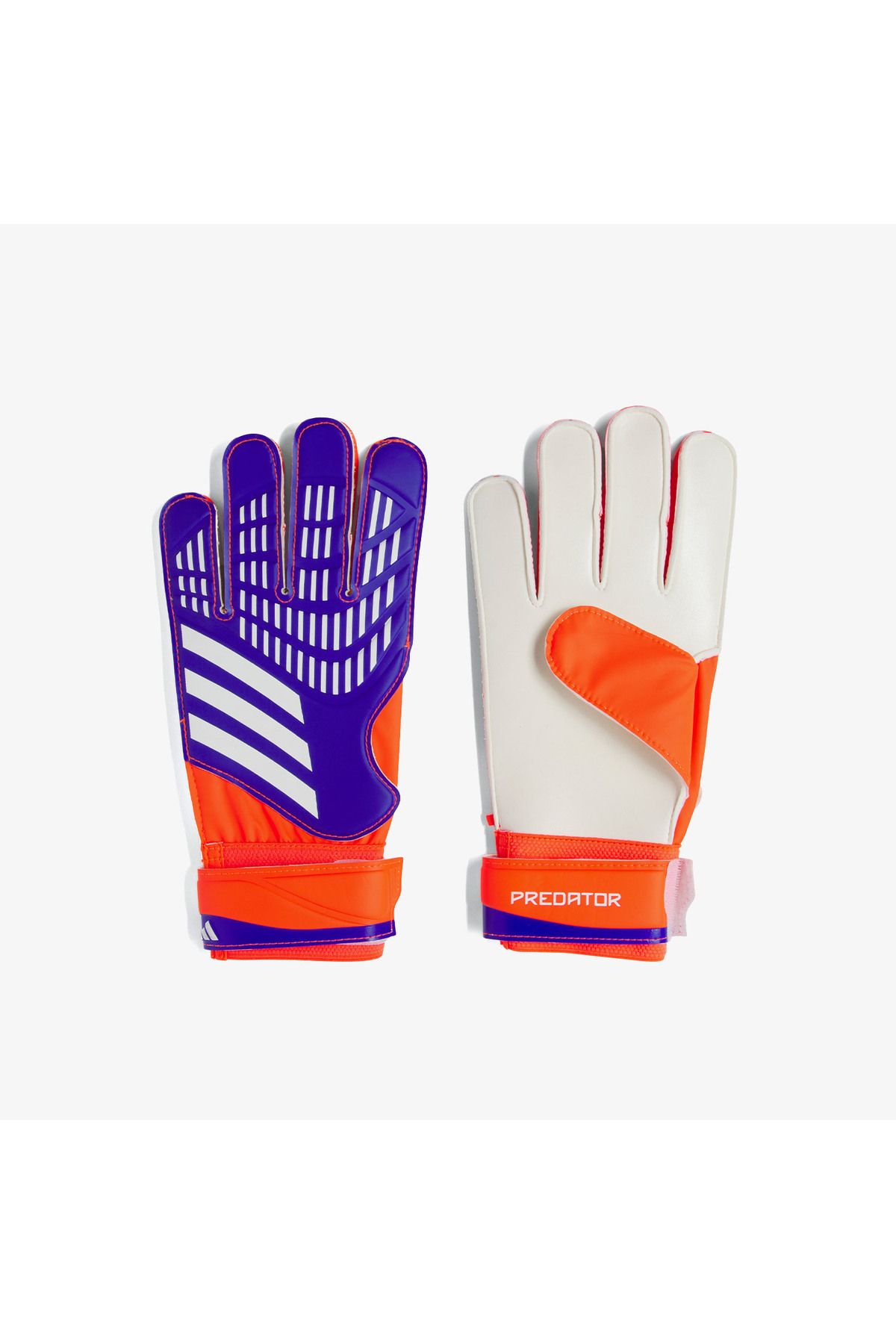 adidas-Predator Men's Blue Goalie Gloves 1