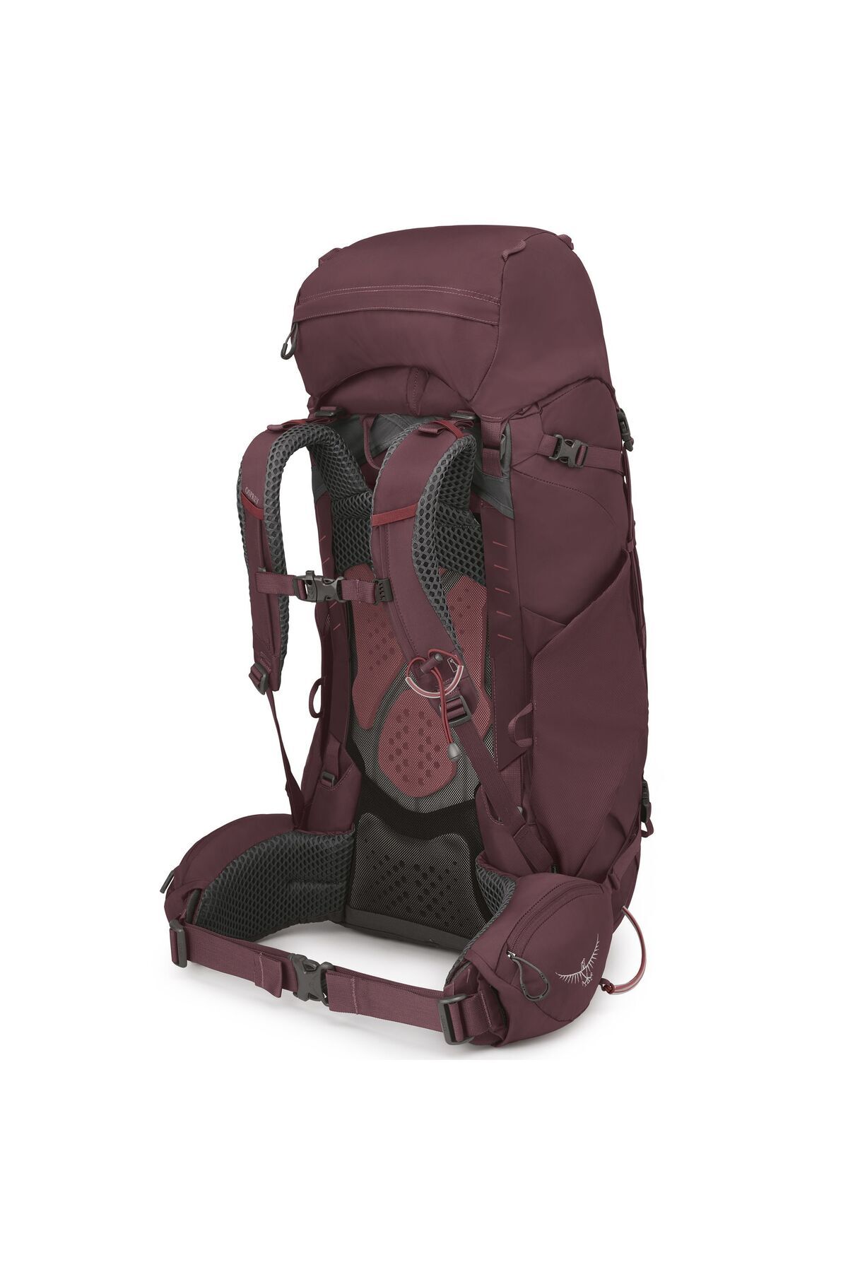 Osprey-Kyte 58 Trekking-Rucksack Wxs-s 75 cm 3