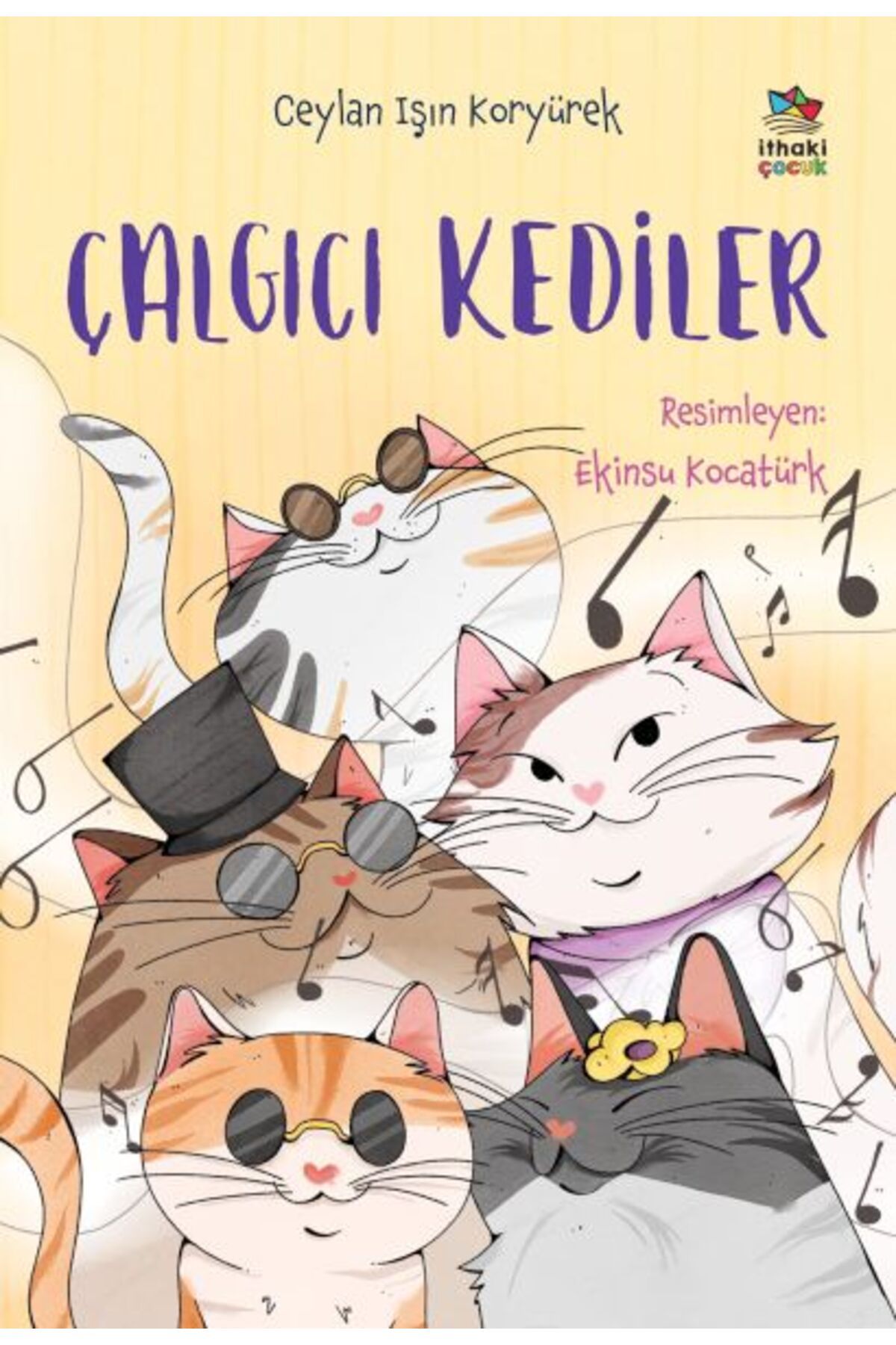 Destek Yayınları Çalgıcı Kediler