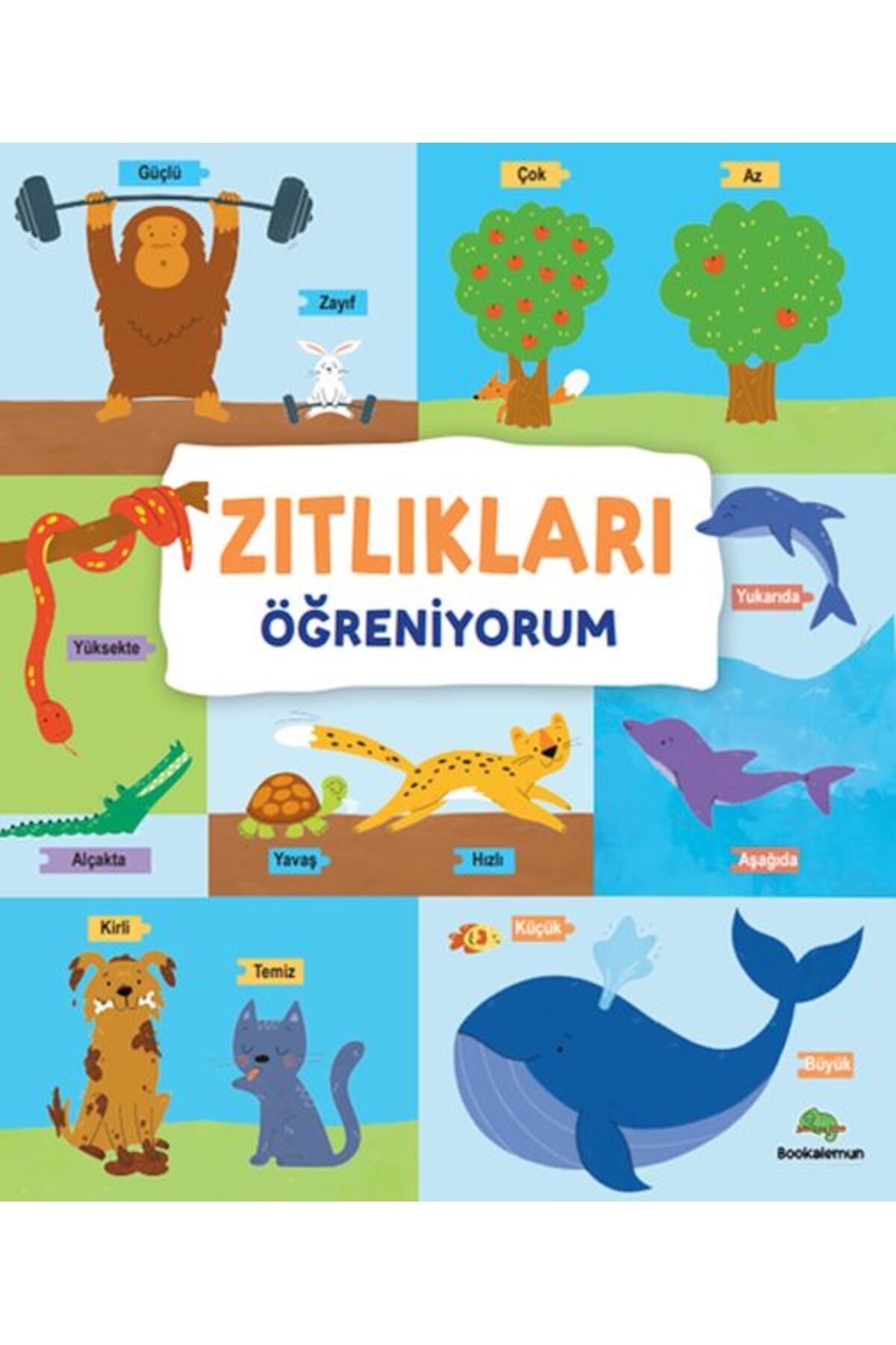 Destek Yayınları Zıtlıkları Öğreniyorum