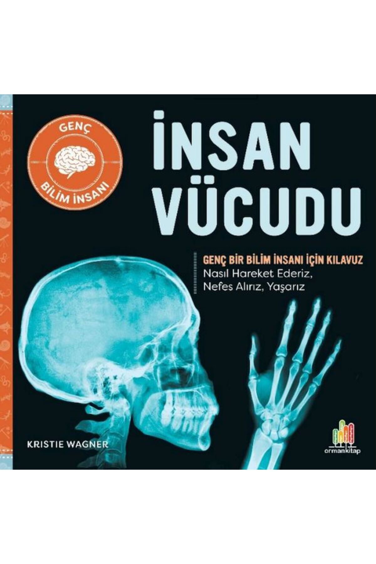 Orman Kitap İnsan Vücudu Genç Bir Bilim İnsanı İçin Kılavuz