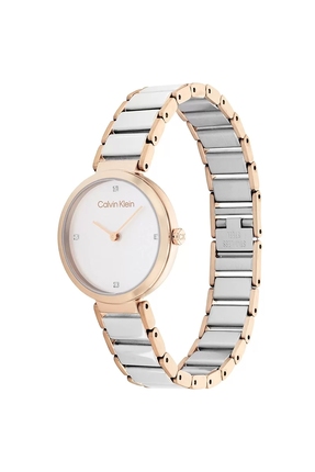 Calvin Klein Kadın Kol Saati CK25200139