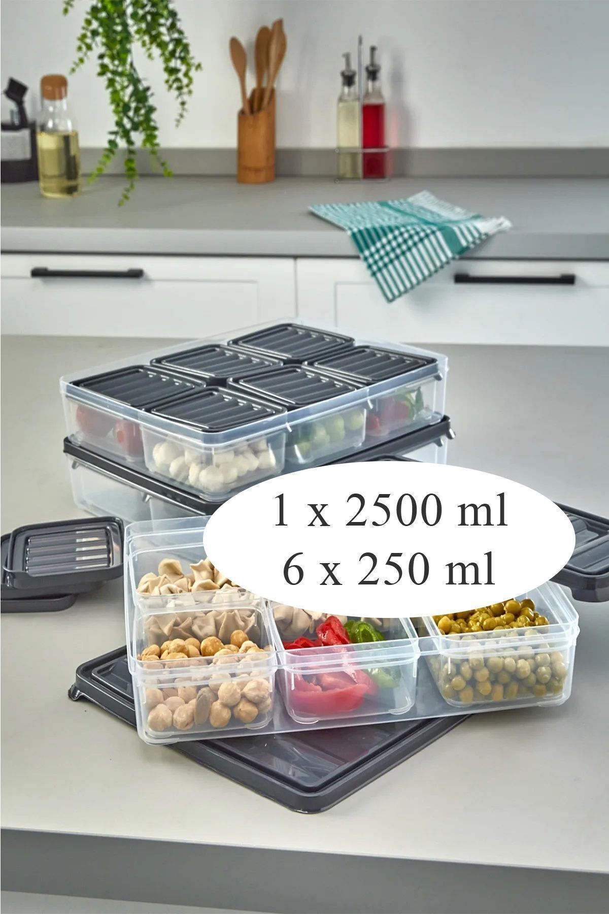 KRM HOME-Set of 7 Freezer, Pulses, Food Container-Picnic, Microwave Storage Container 1X2500 Ml-6X250 ml 2