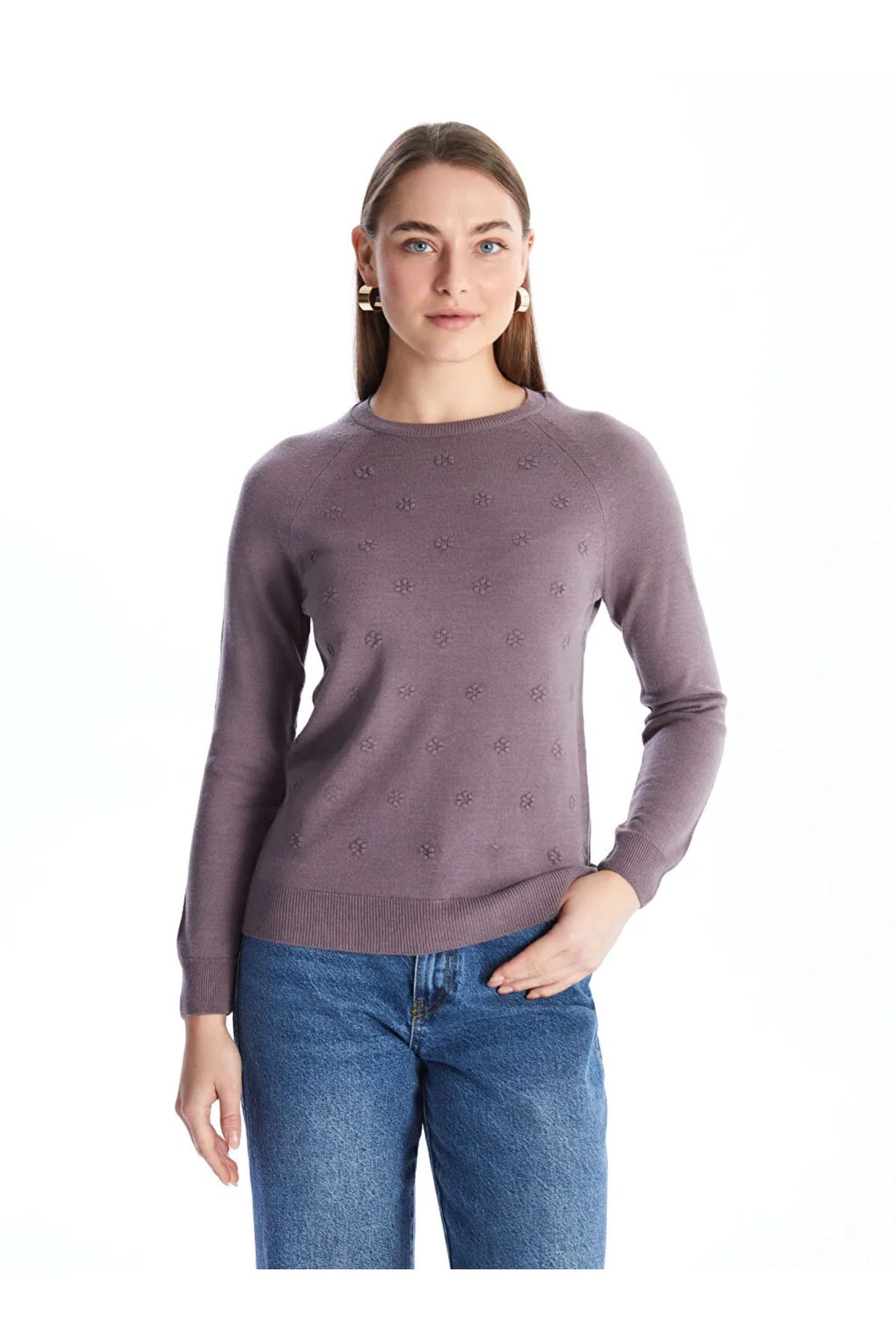 LC Waikiki-Lcwaikiki Basic Matte Damson Crew Neck Self Patterned Long Sleeve Women's Knitwear Sweater 1